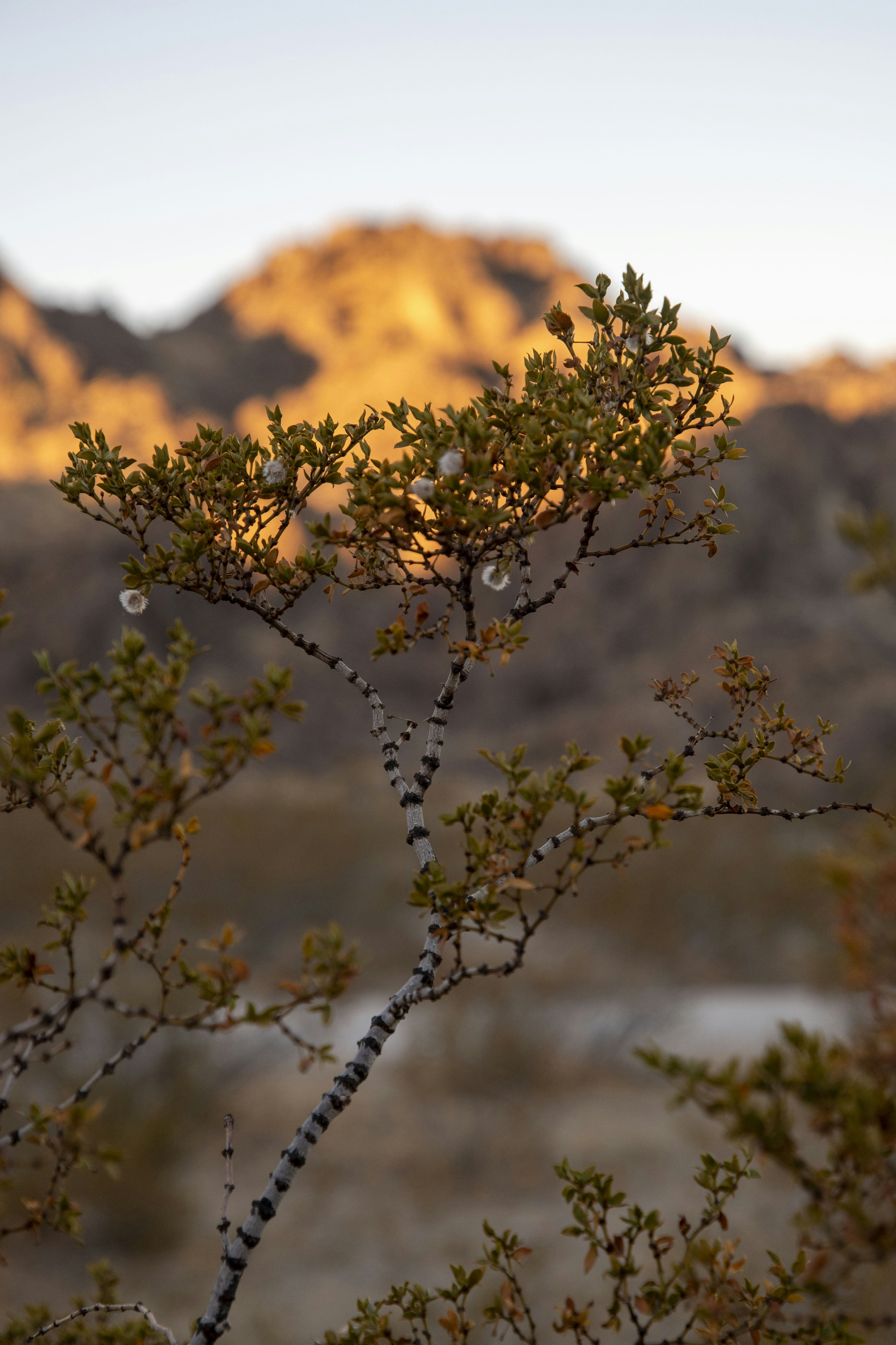 Photo by emilioborraz