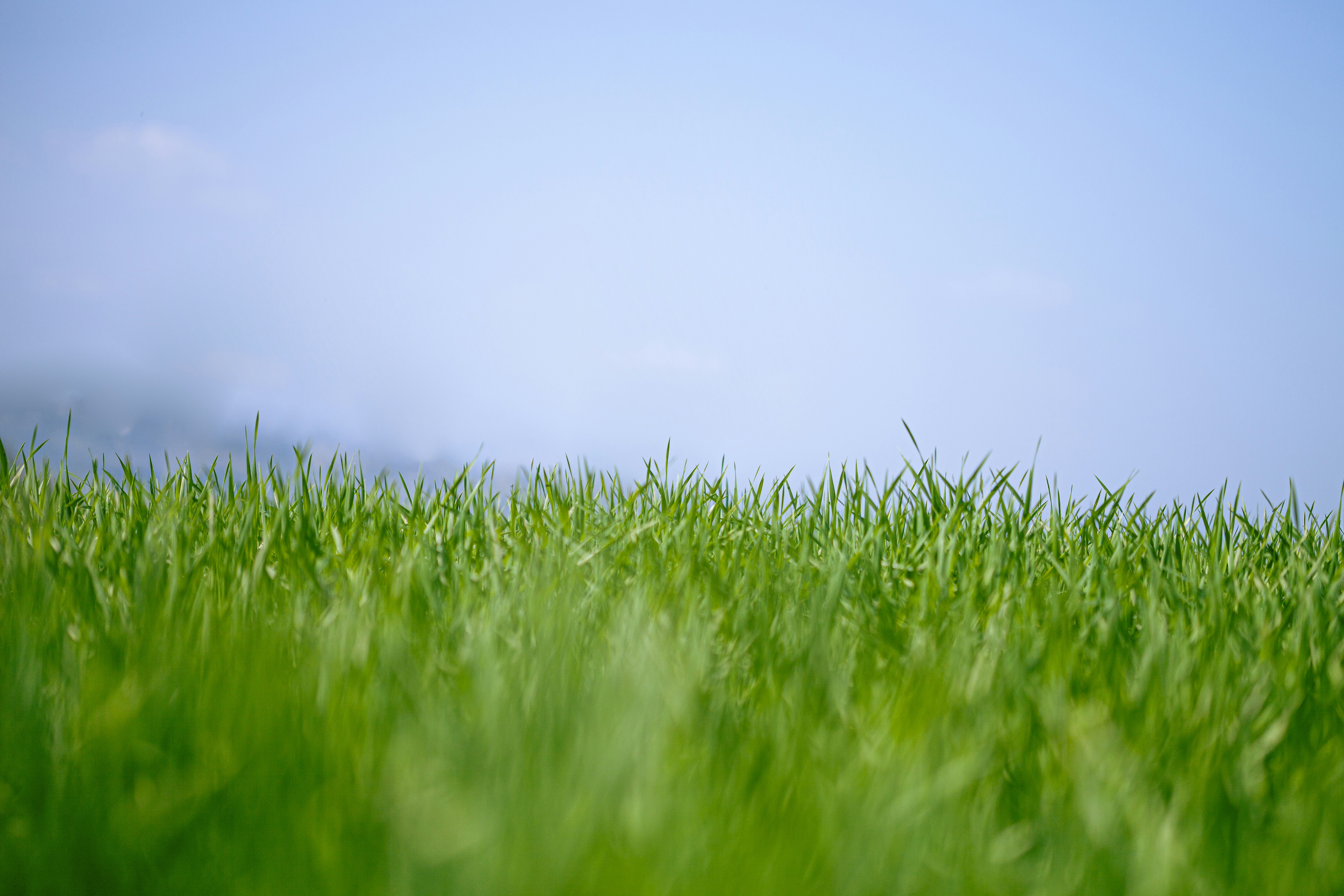 Clean Edge Lawncare 's image