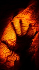 A shadow of a hand on a rock