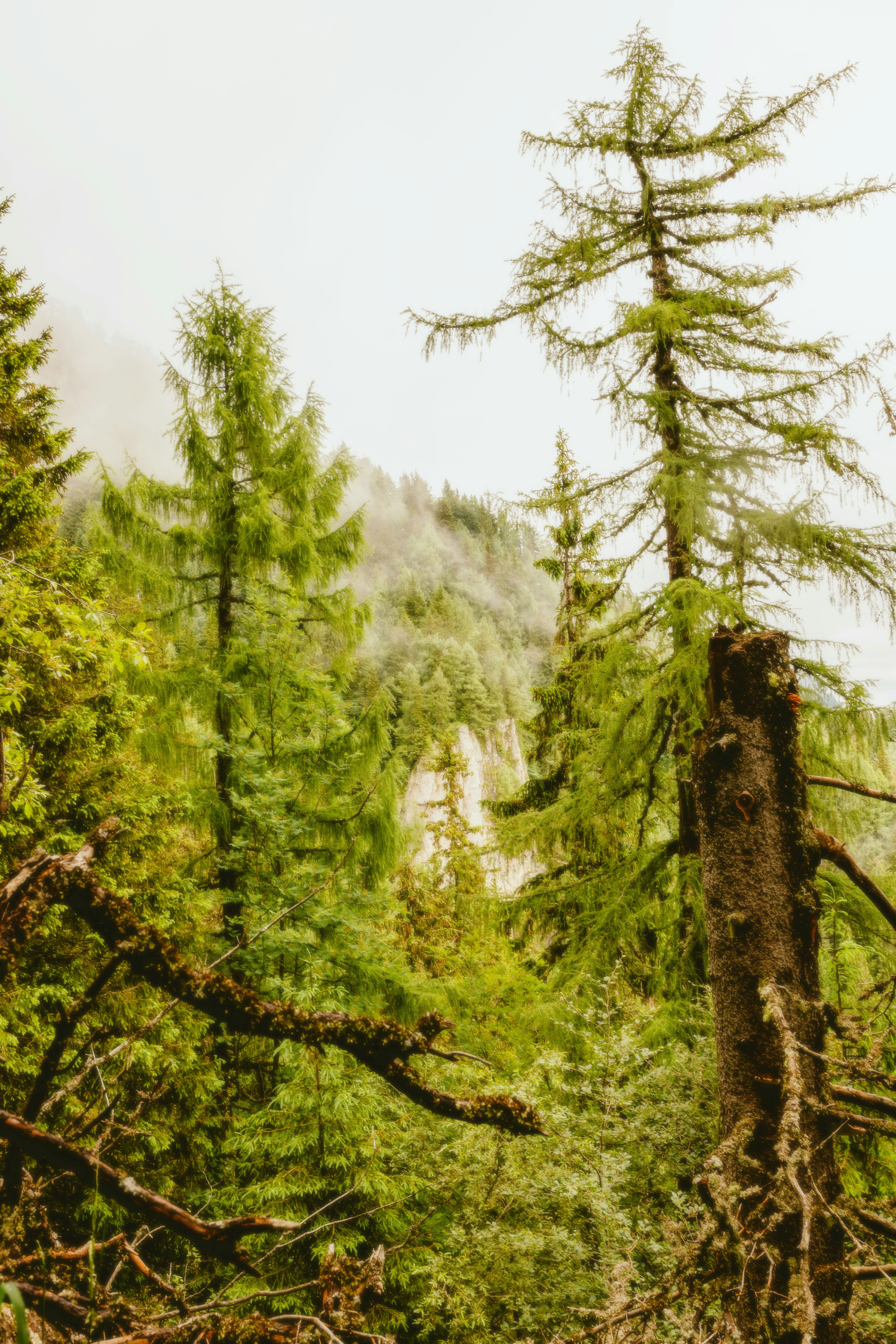 Photo by alingavriliuc