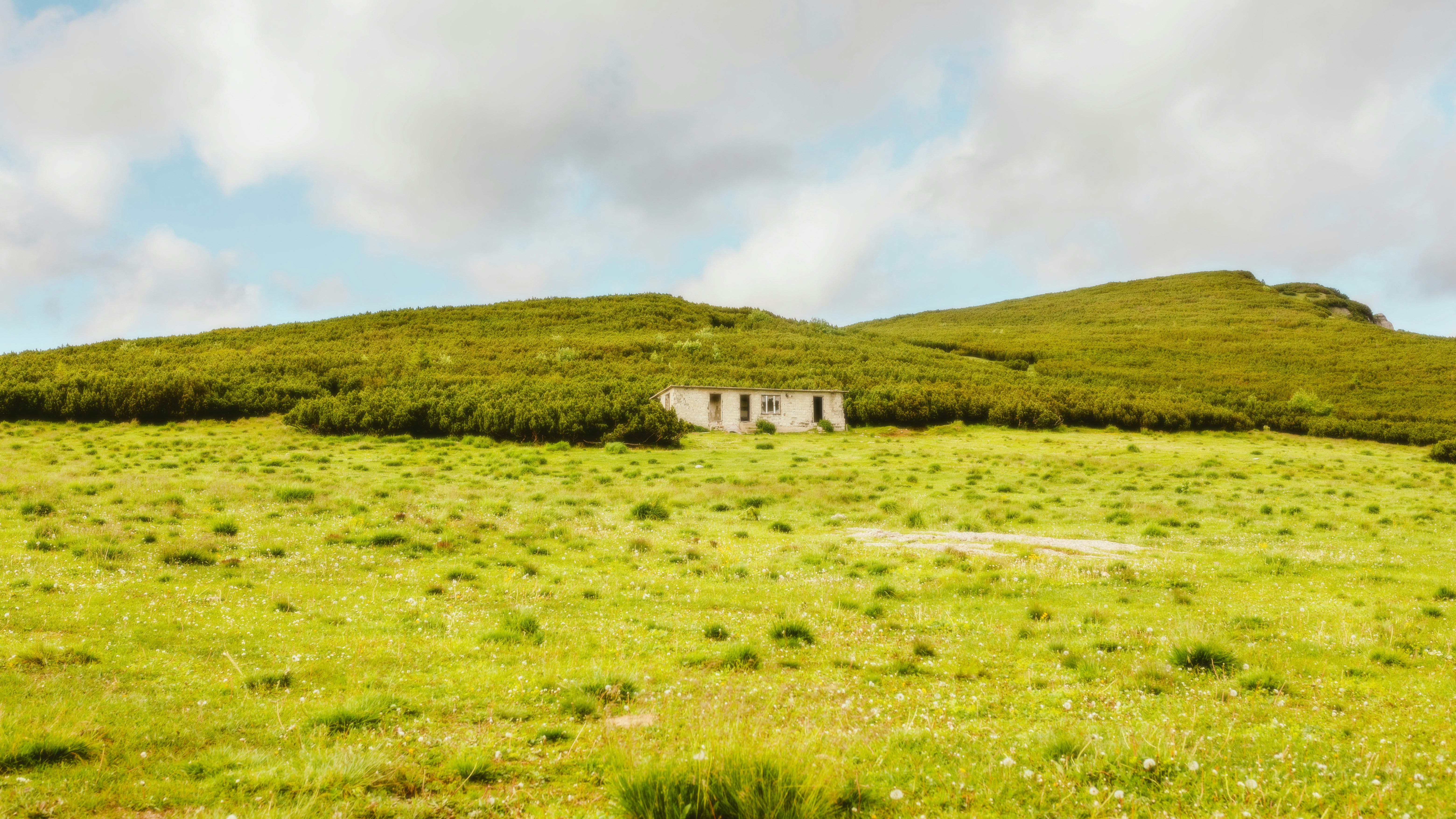 Photo by alingavriliuc