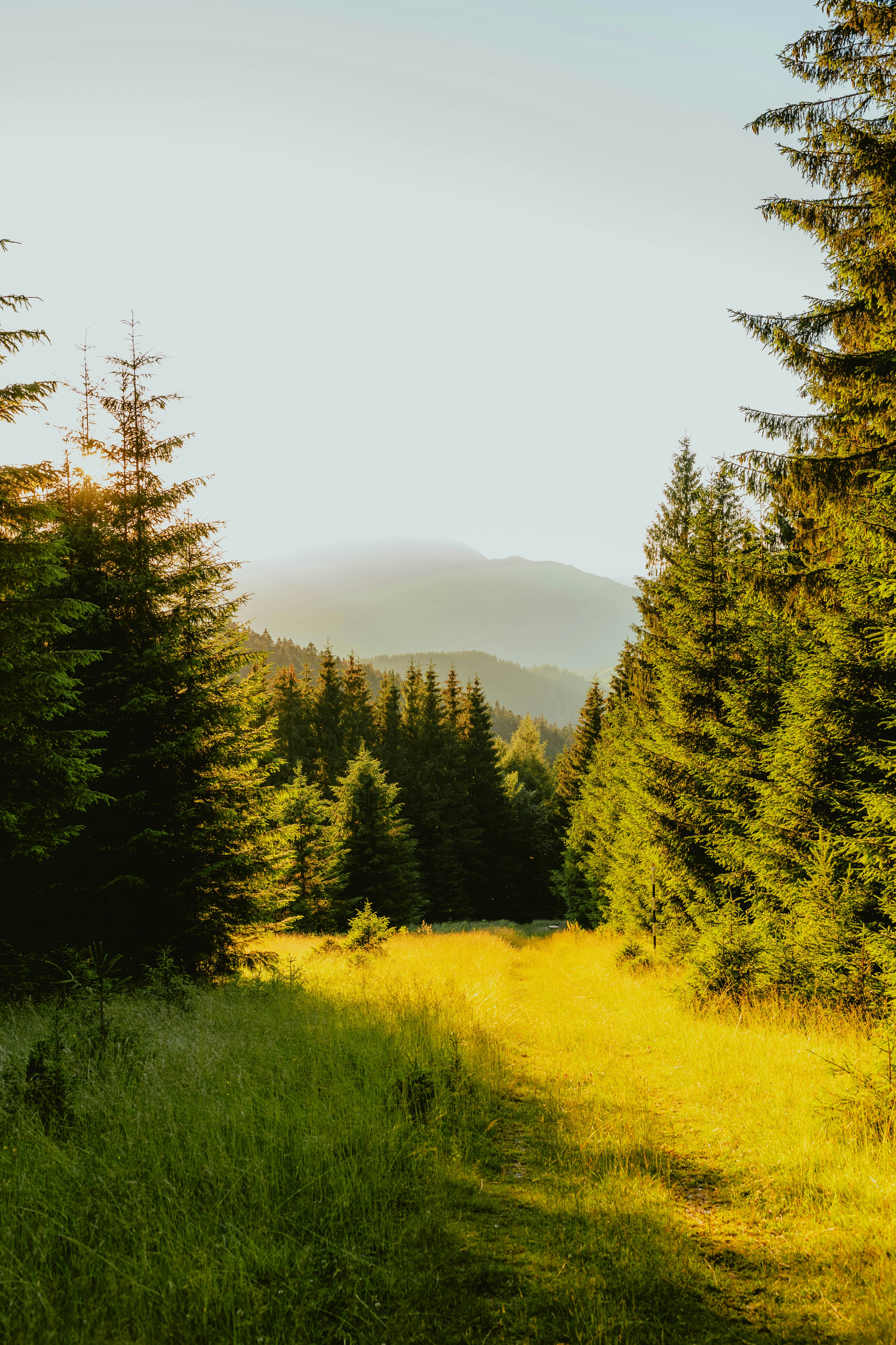 Photo by alingavriliuc