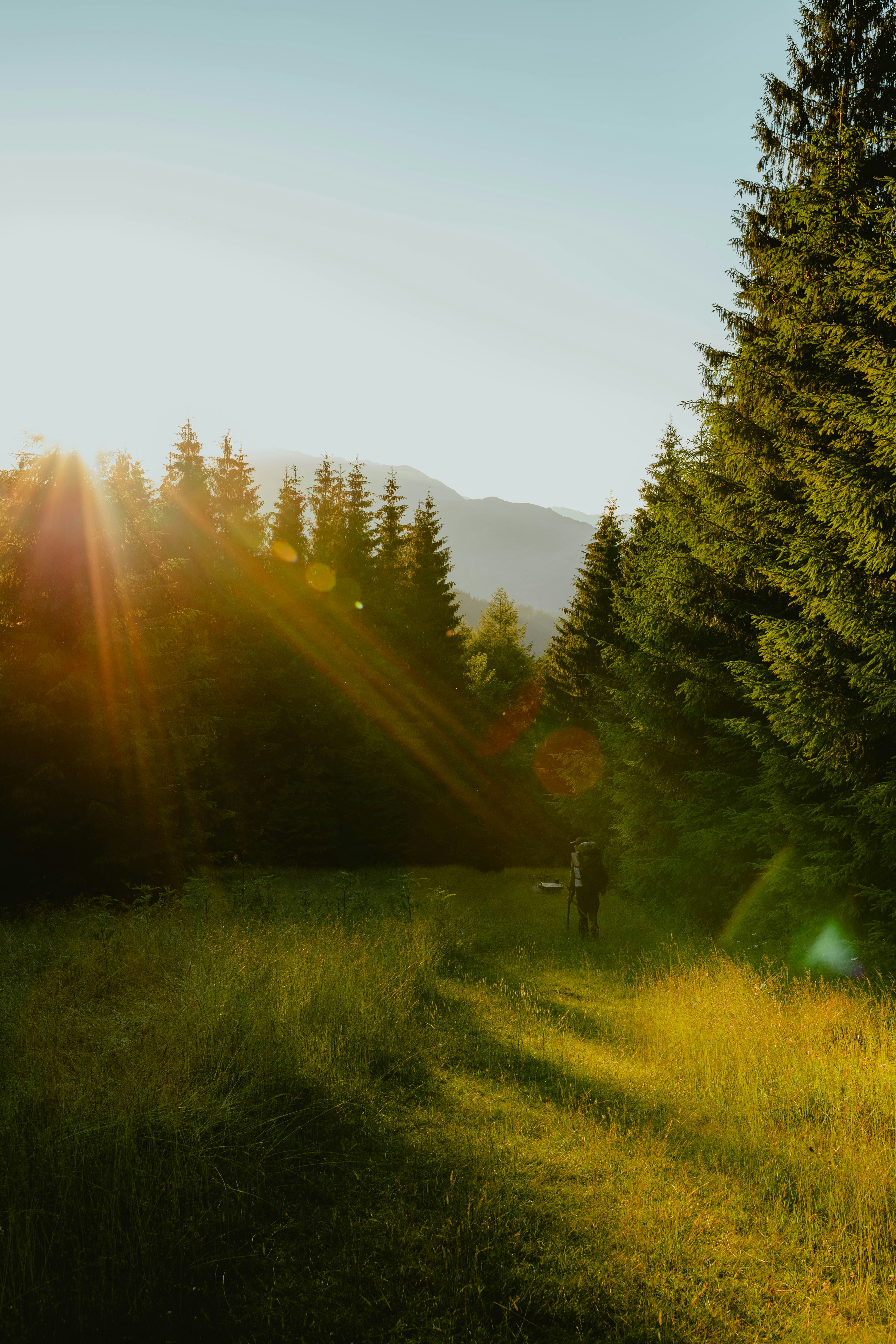 Photo by alingavriliuc