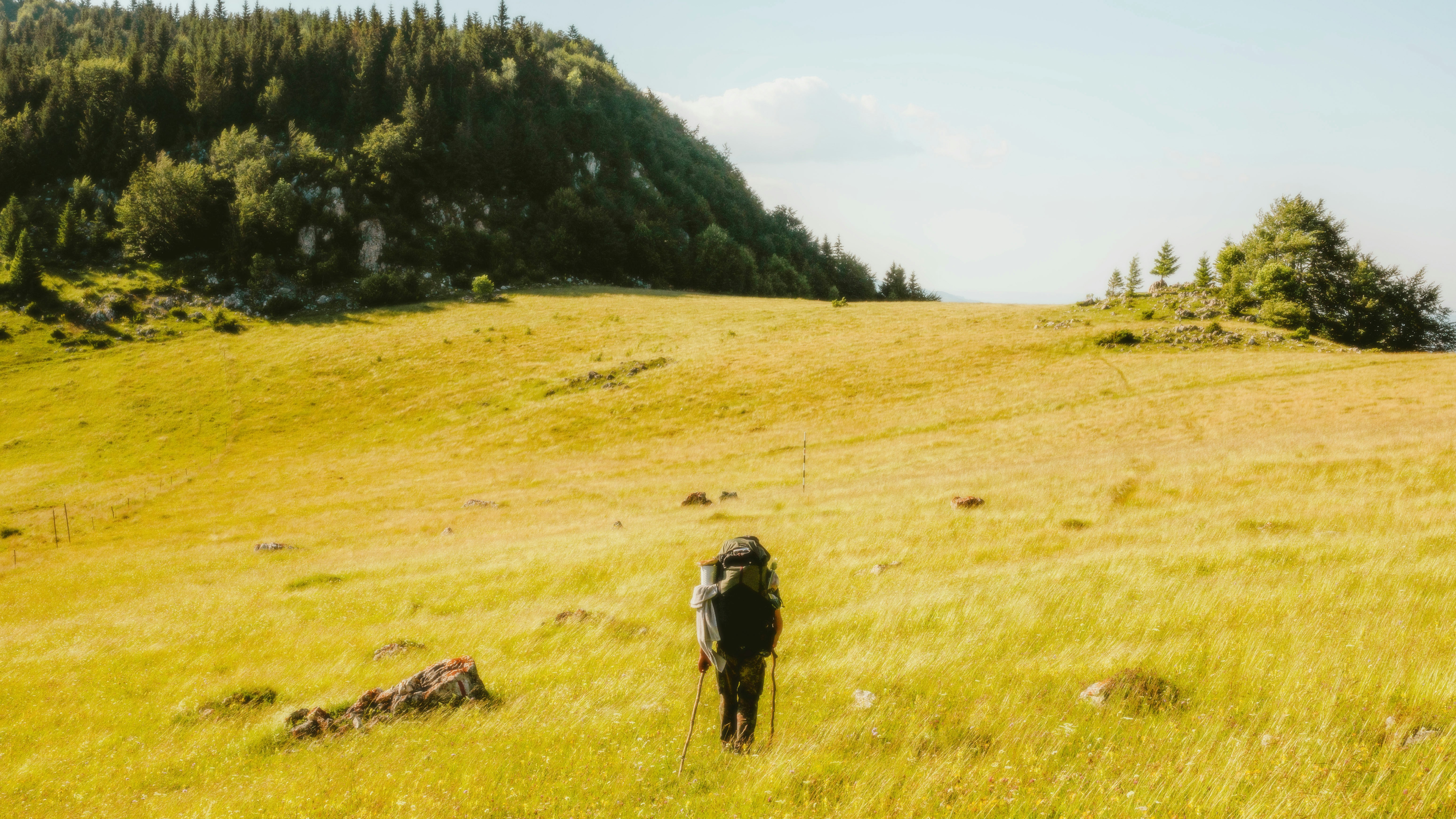 Photo by alingavriliuc