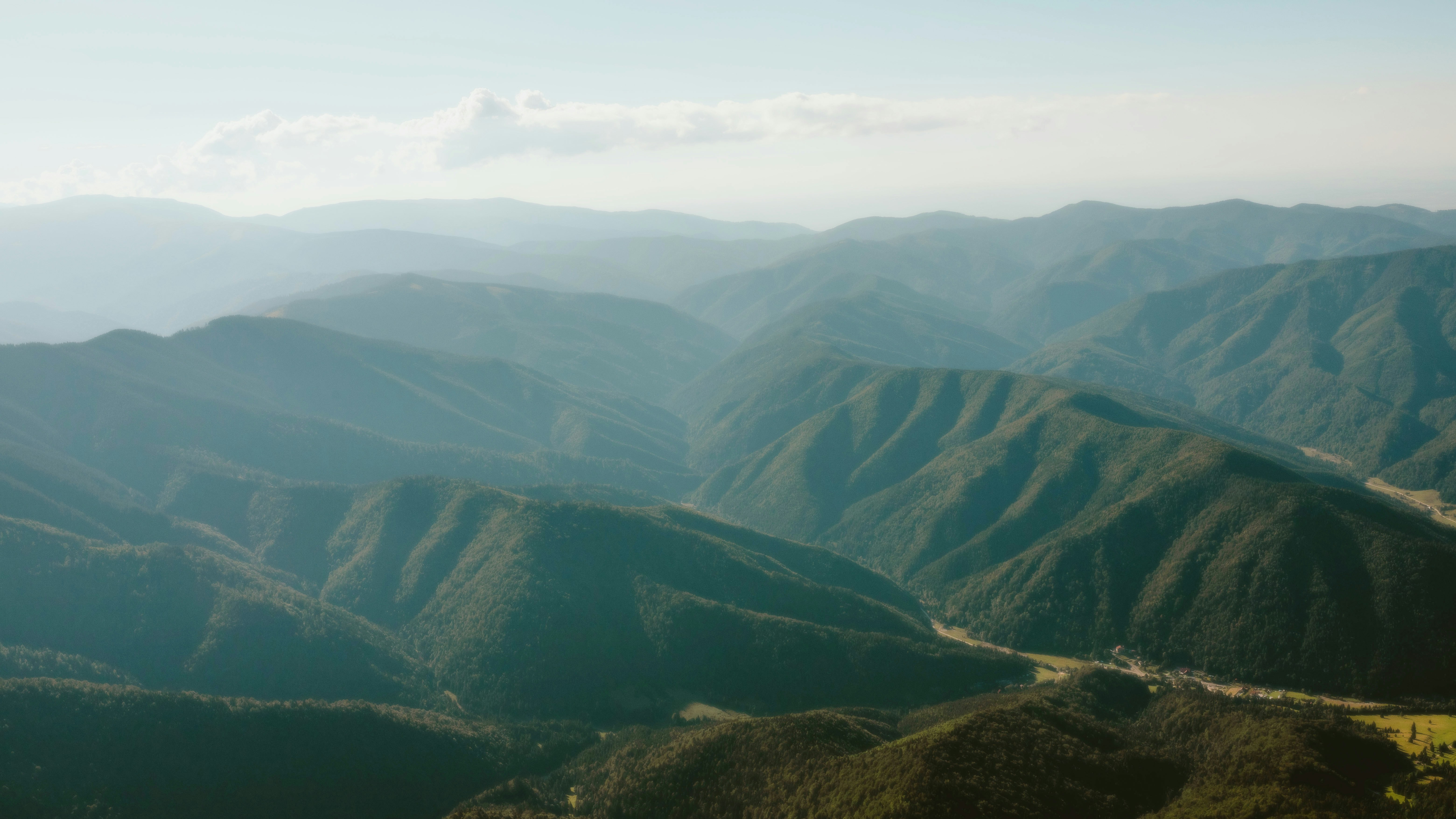 Photo by alingavriliuc