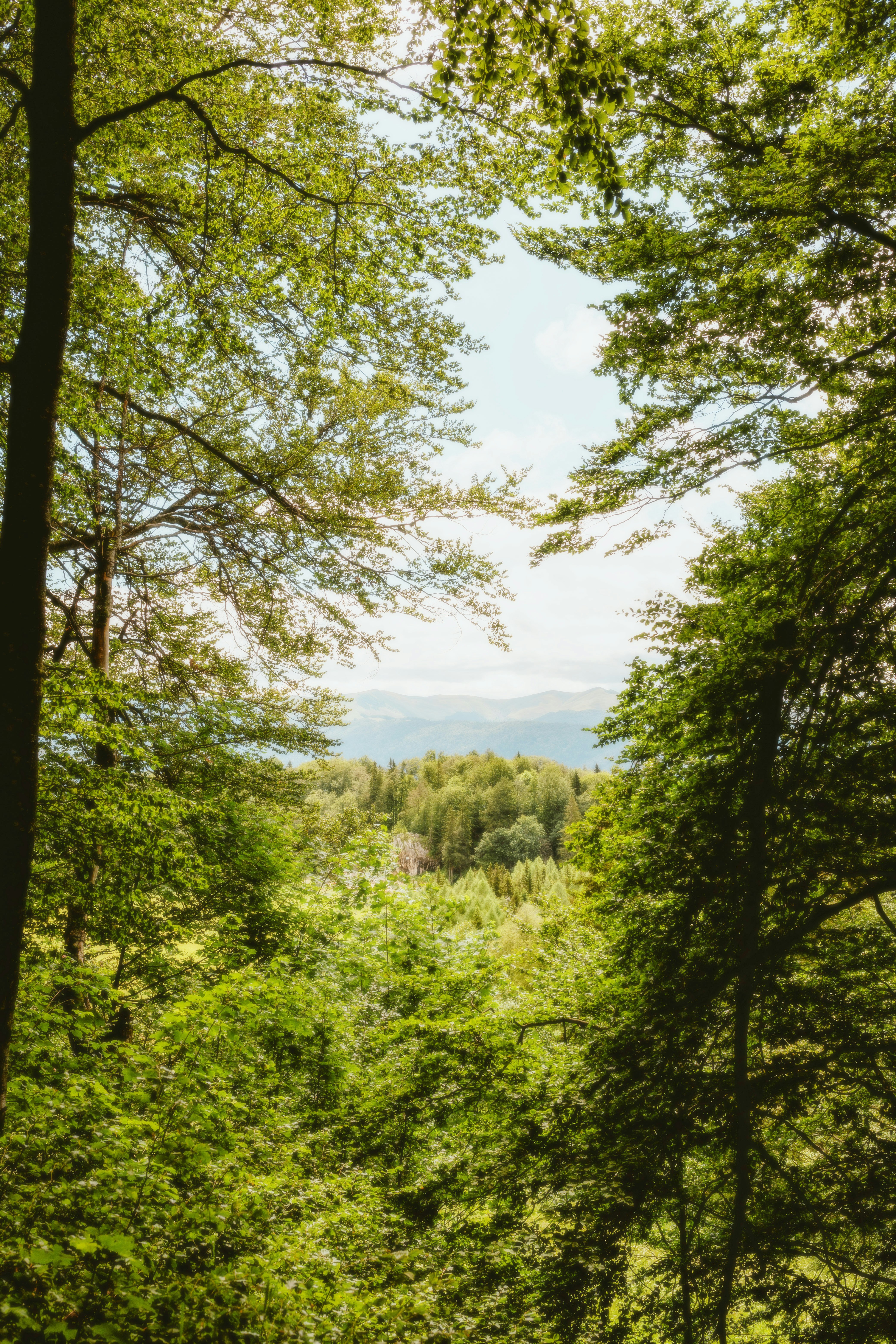 Photo by alingavriliuc