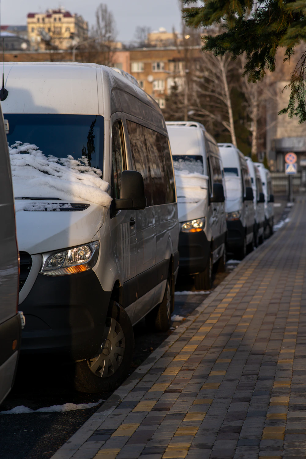 A row of fleet vans