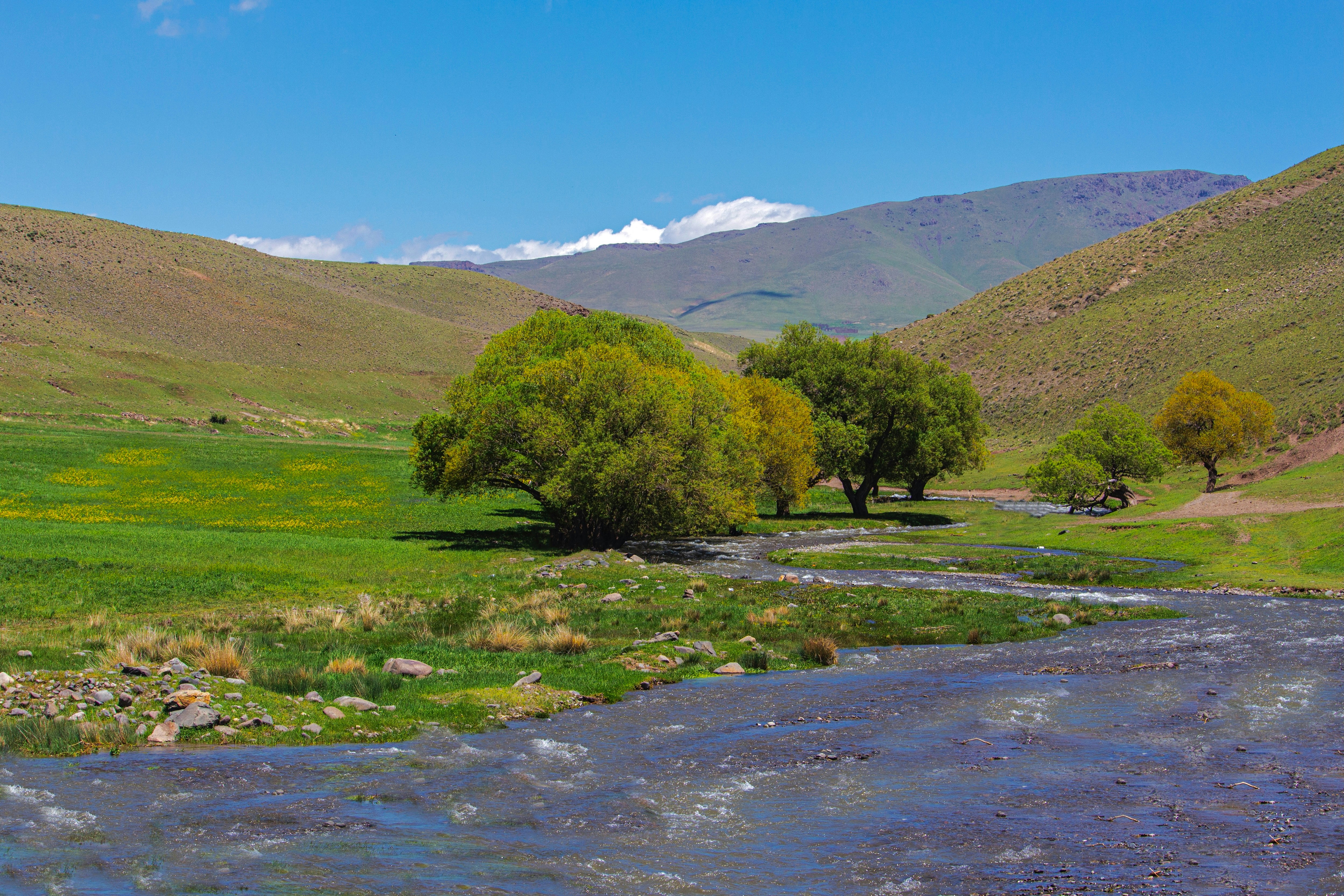 Photo by farid_karimi