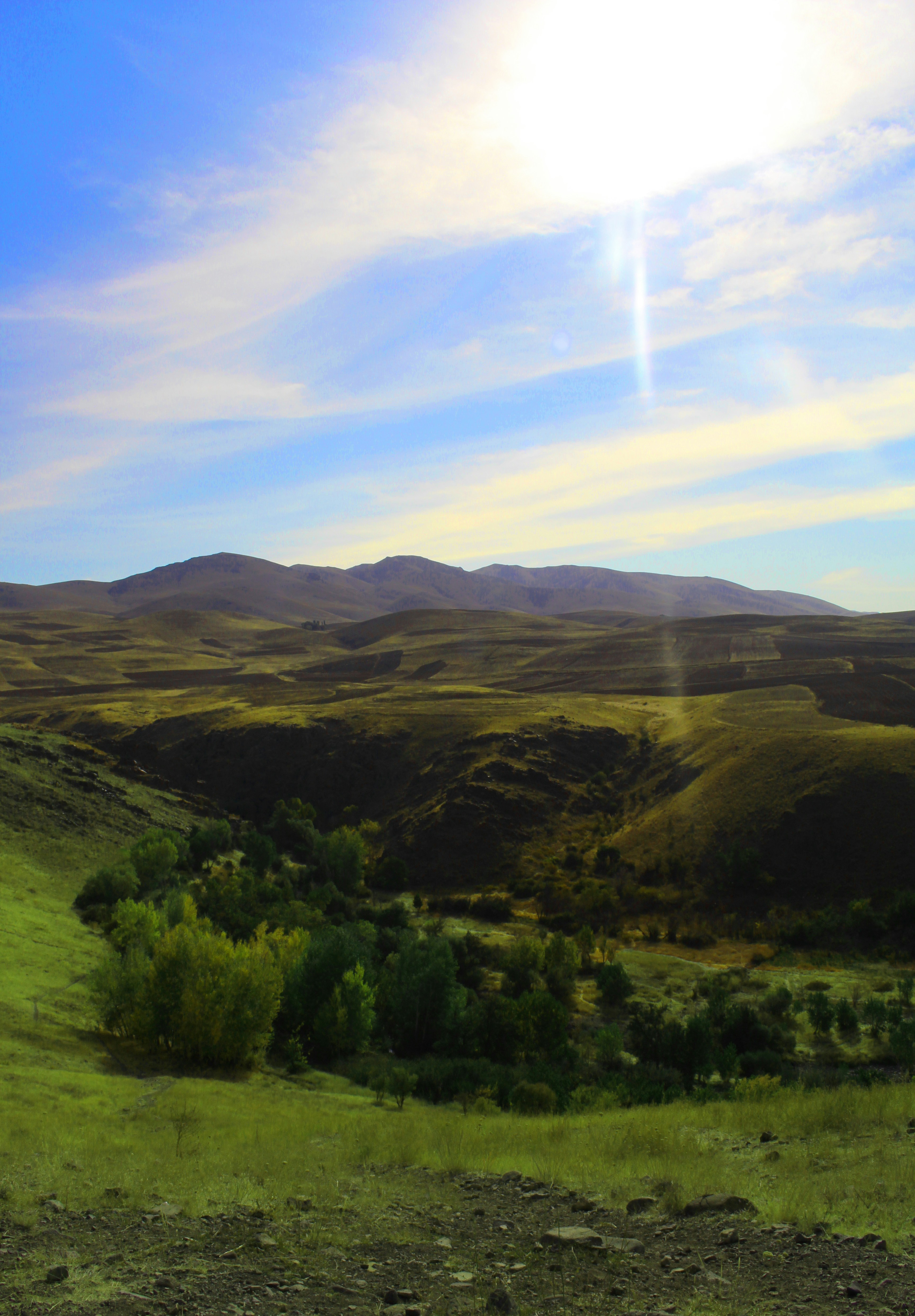 Photo by farid_karimi