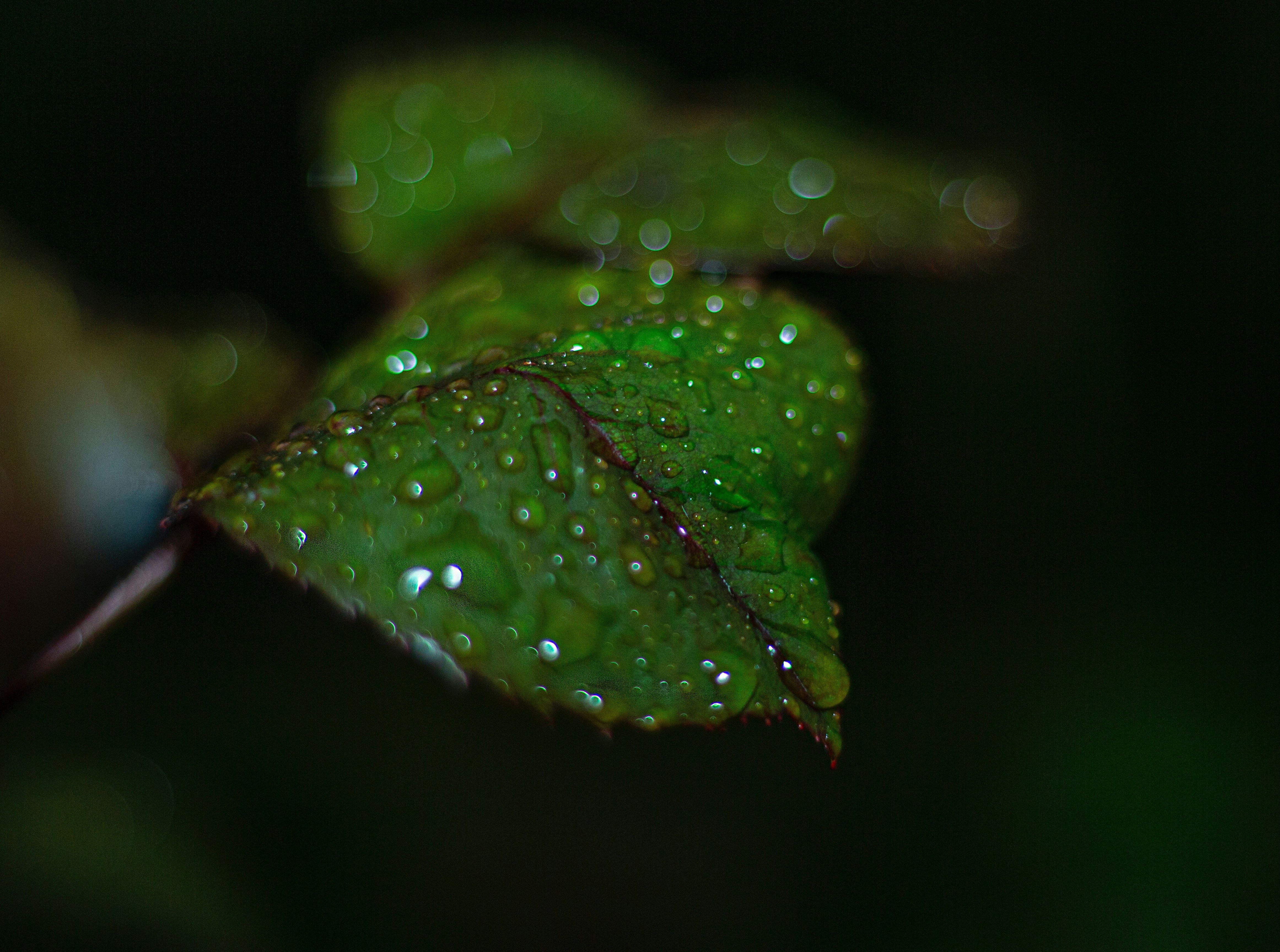 Photo by farid_karimi