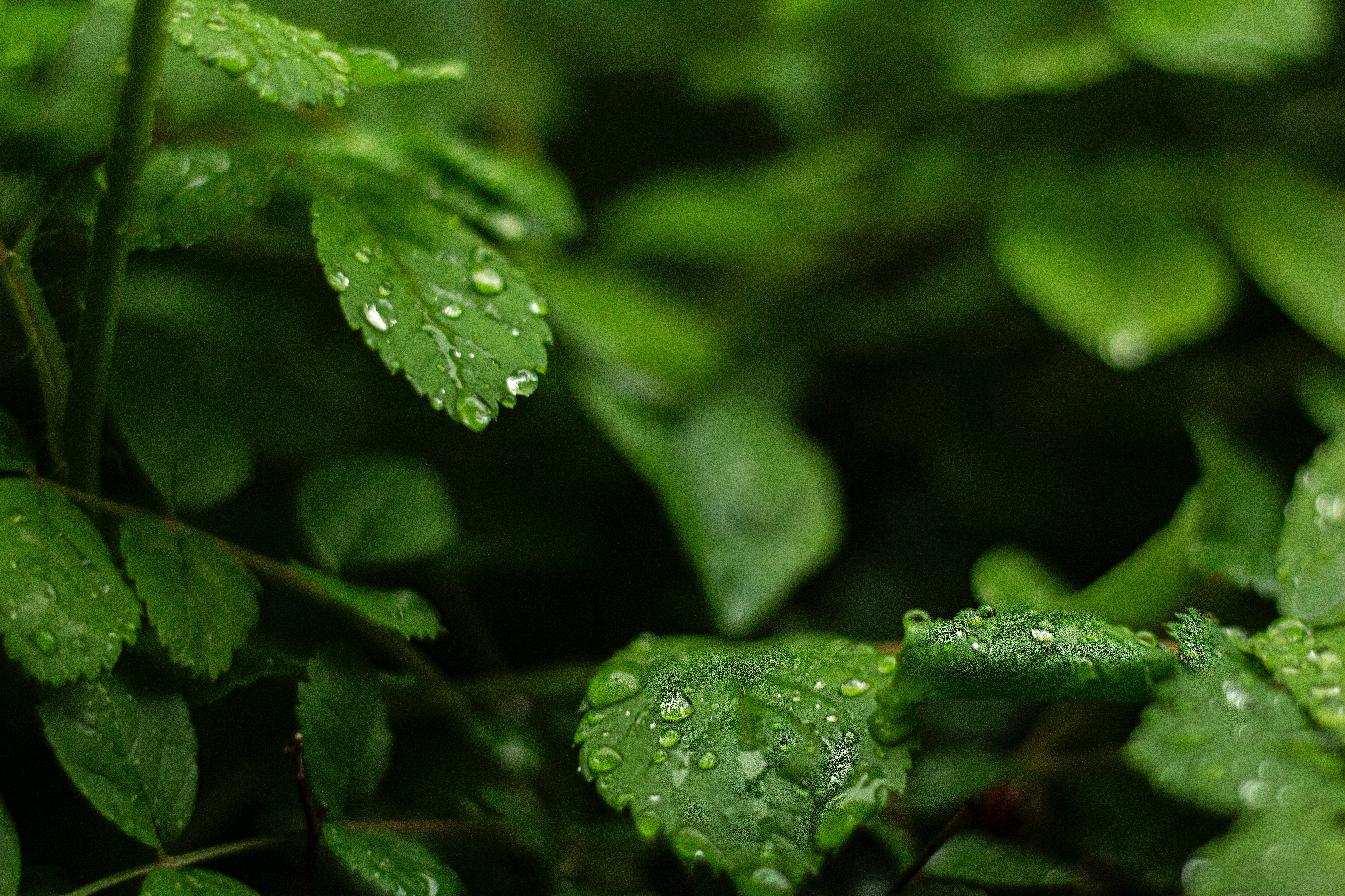 Photo by farid_karimi