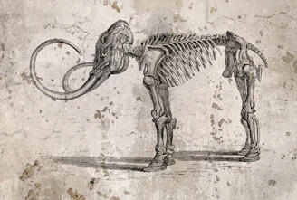A drawing of a dog with a skeleton on it's back