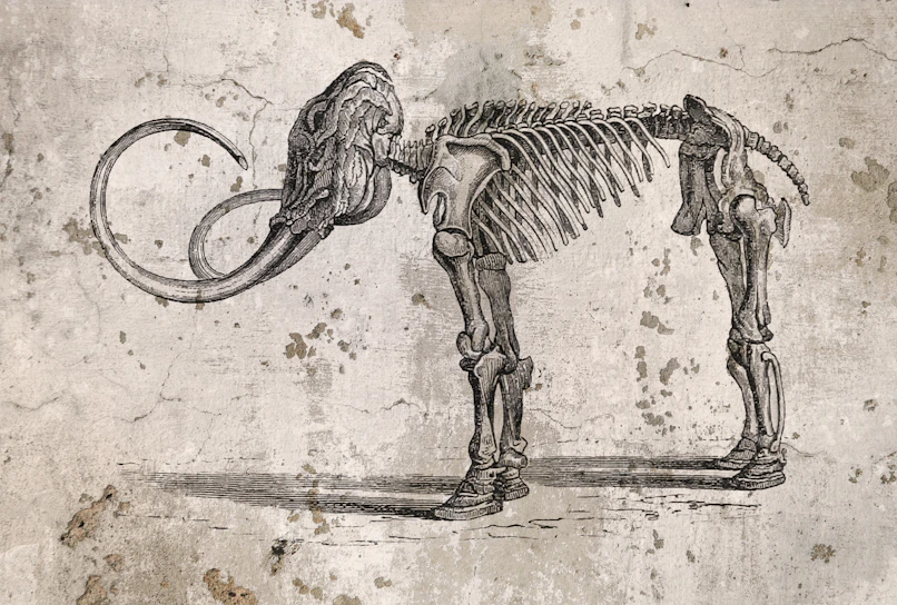 A drawing of a dog with a skeleton on it's back