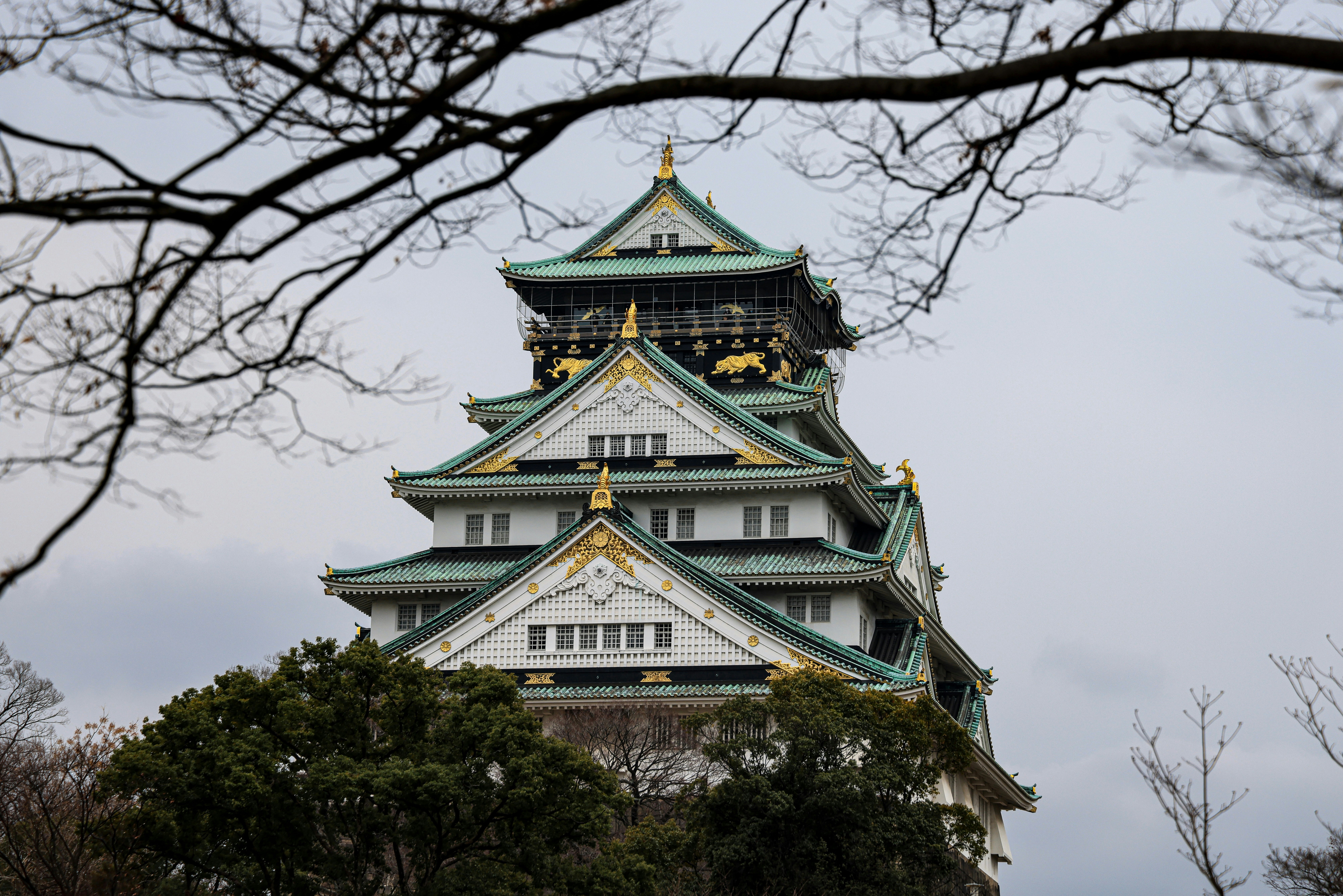 Photo by maximilian_brand