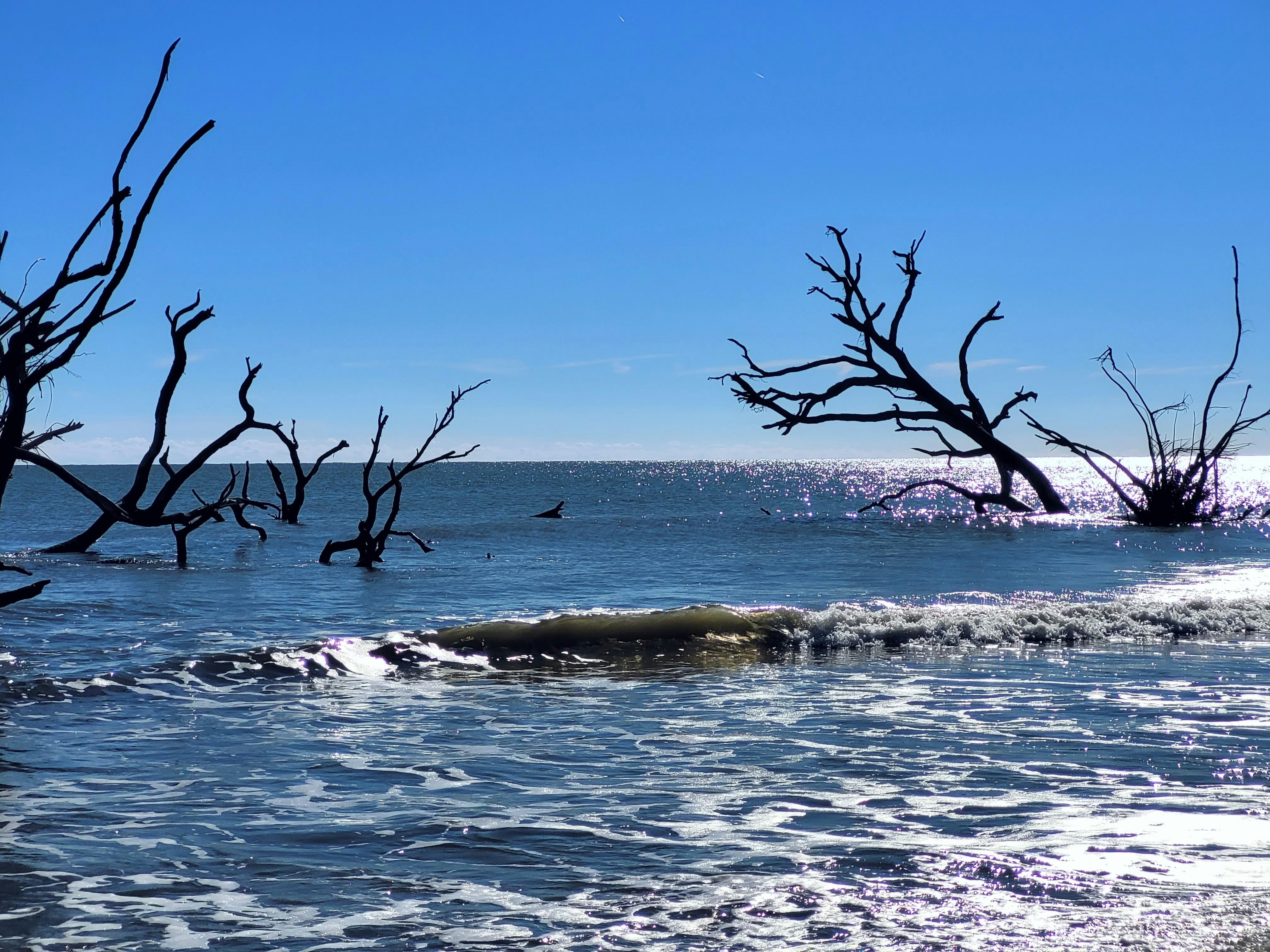 Environmental Factors and Sea Level Changes (image credits: unsplash)