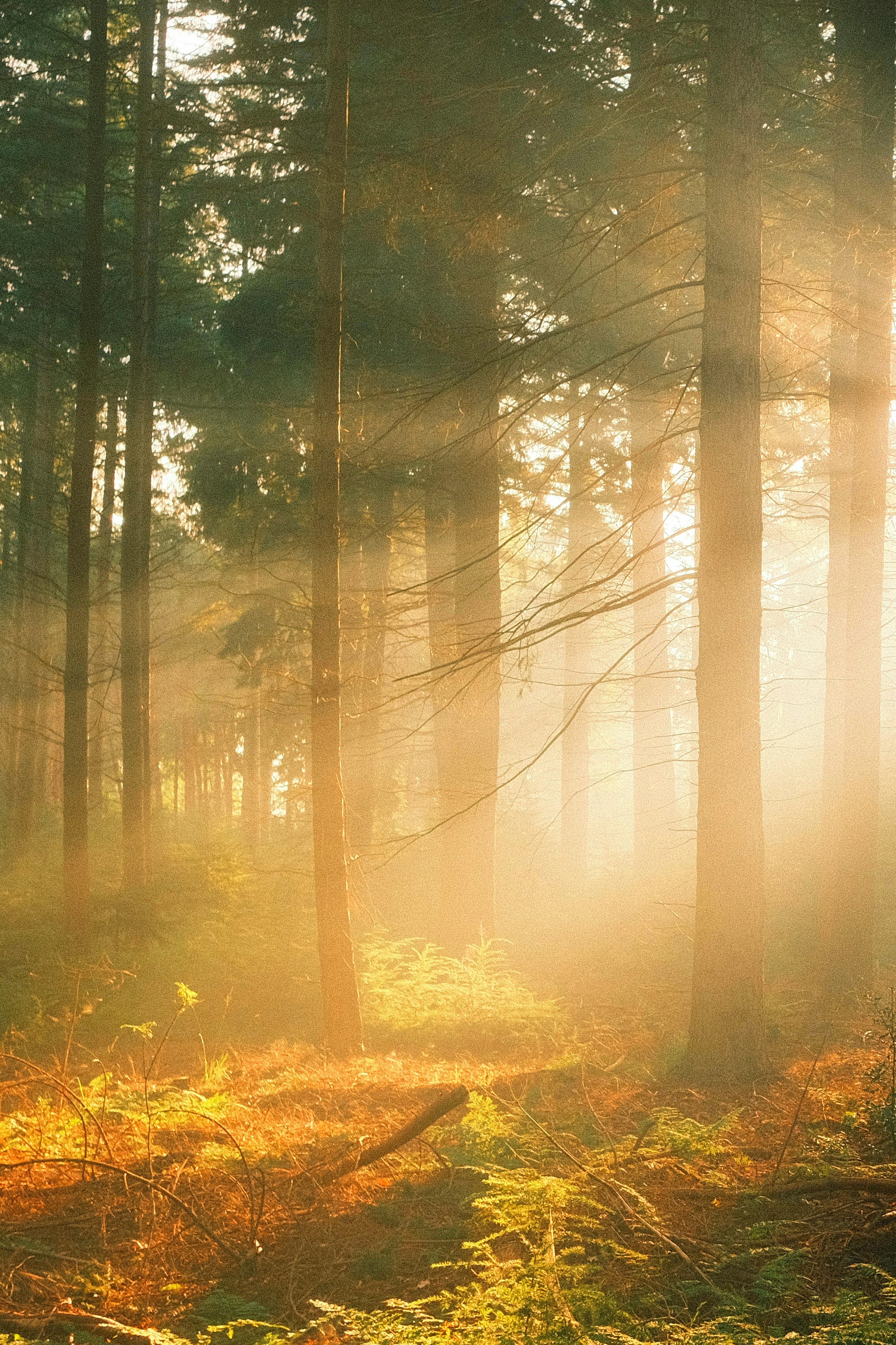 Photo by visualsbying