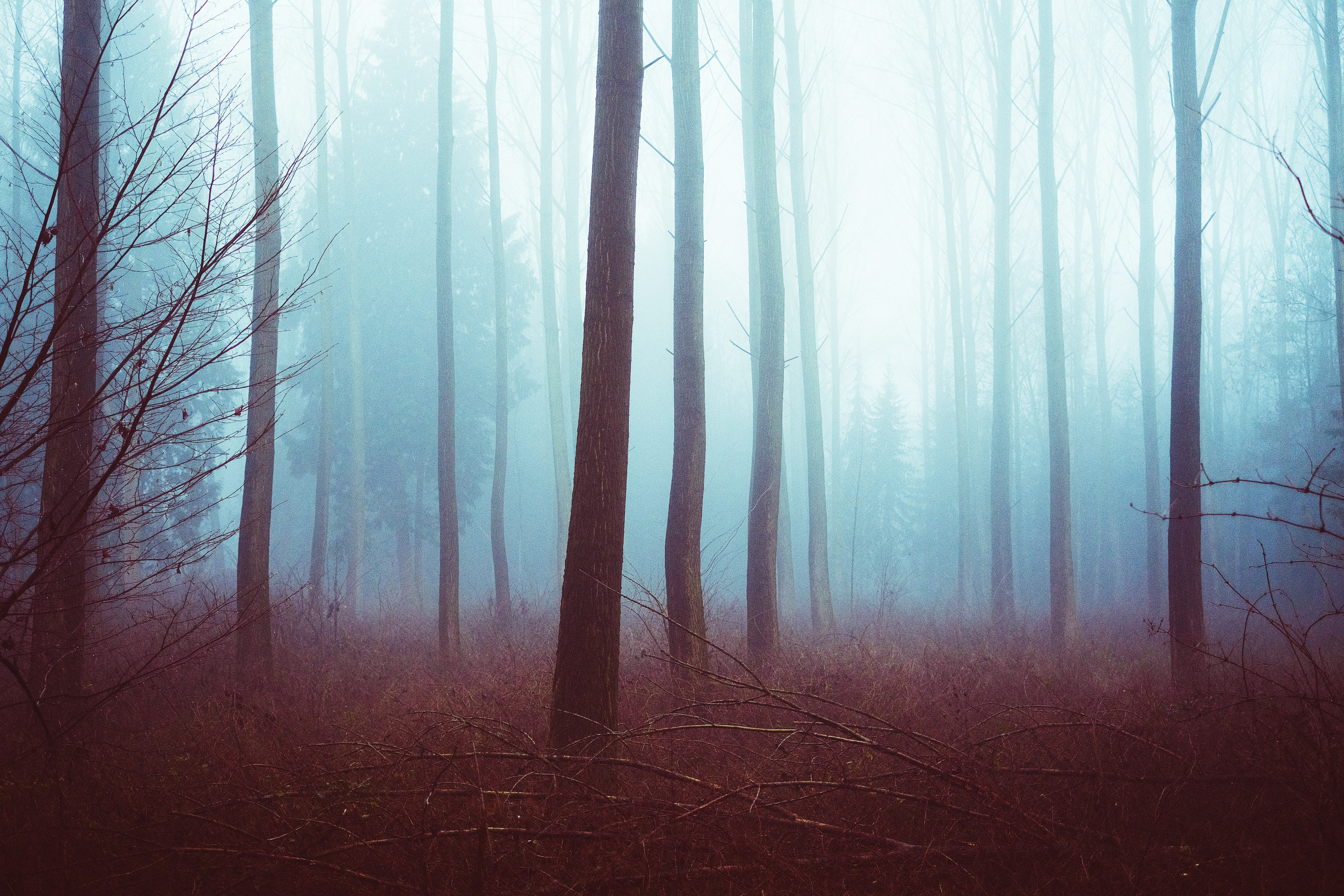 벚꽃길 걷기 좋은 곳, 강원도에서 꼭 가봐야 할 장소 탐방