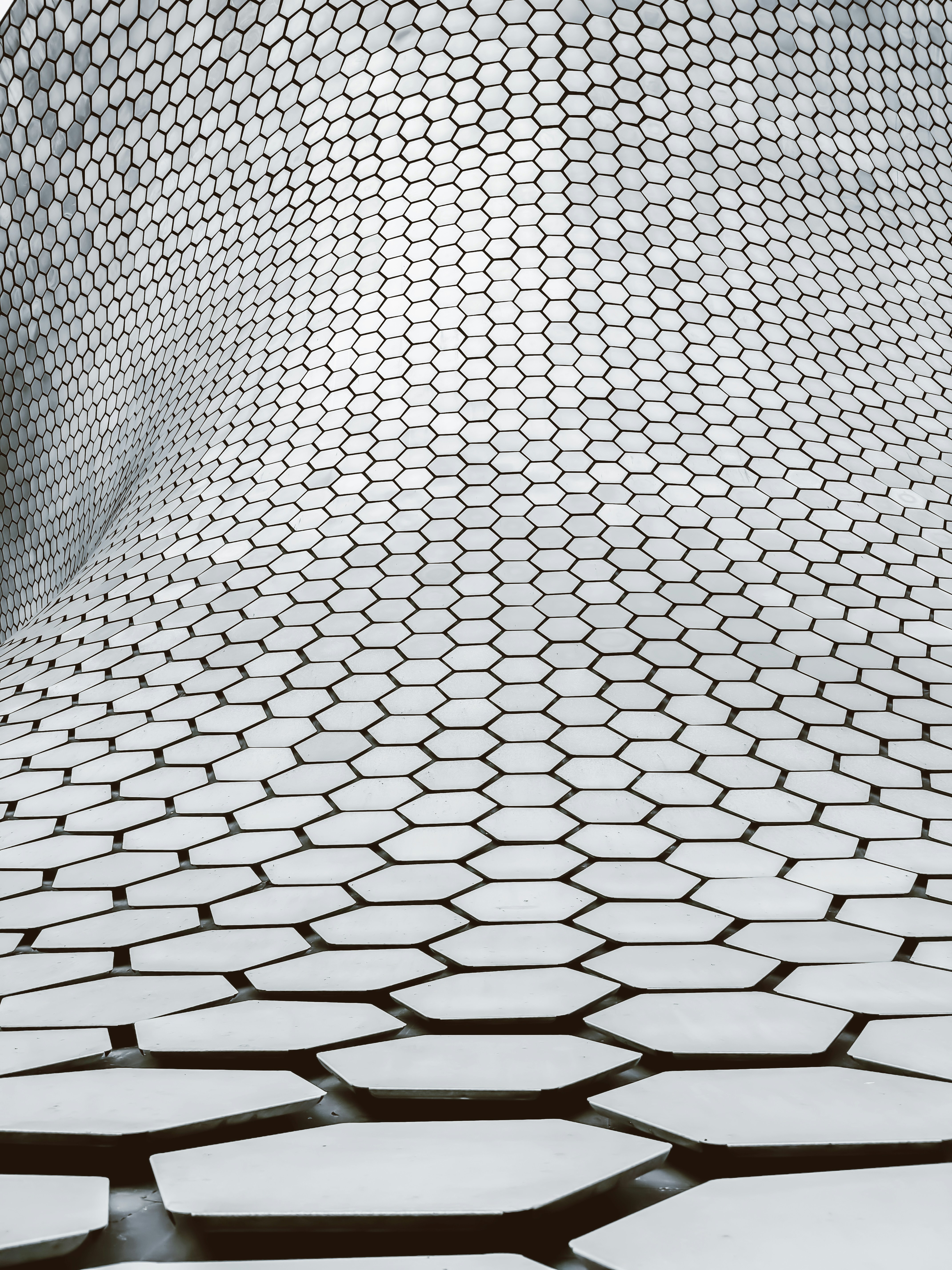 Photo by salvadortorrespando