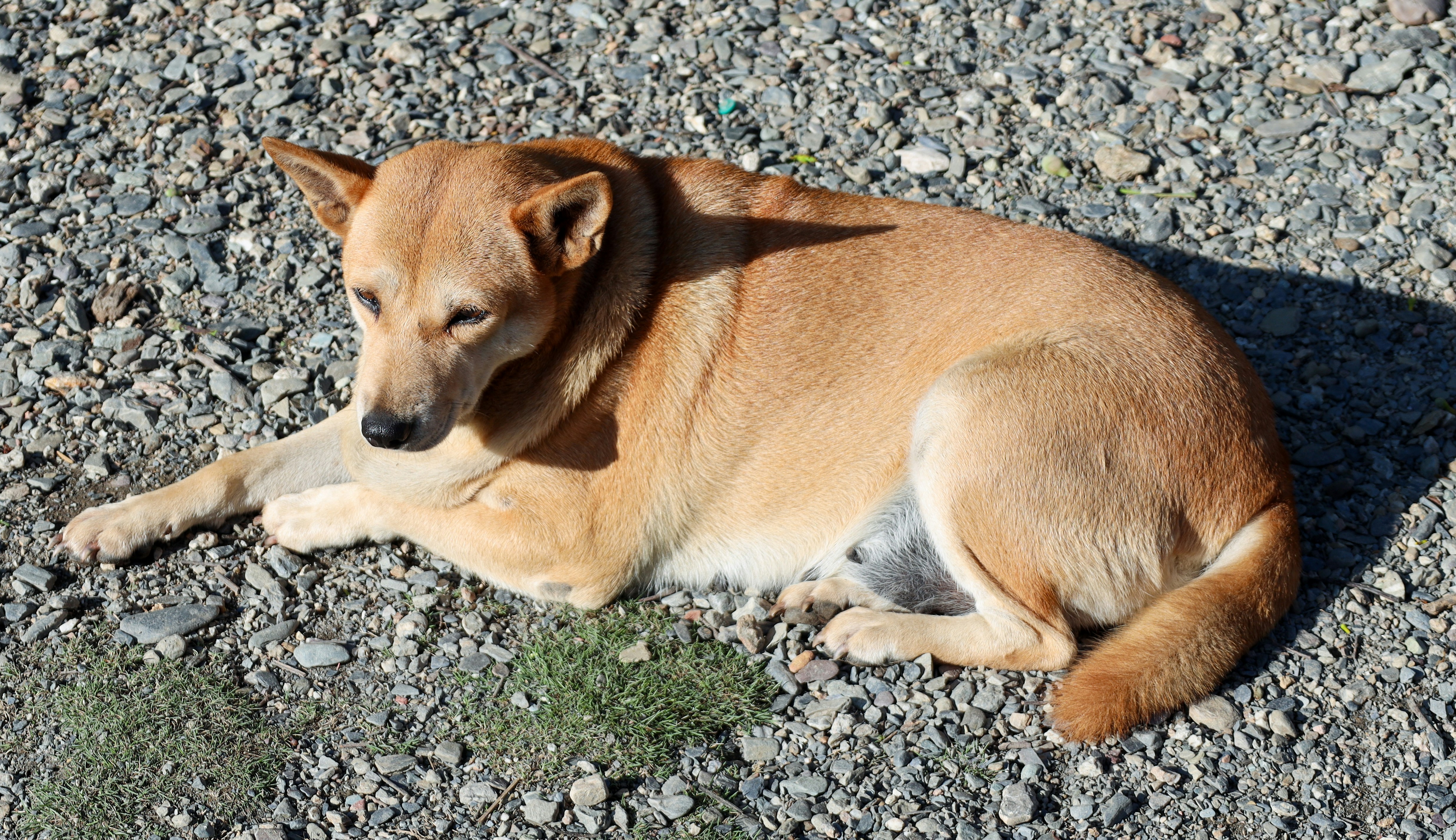 Photo by jaimegusmao