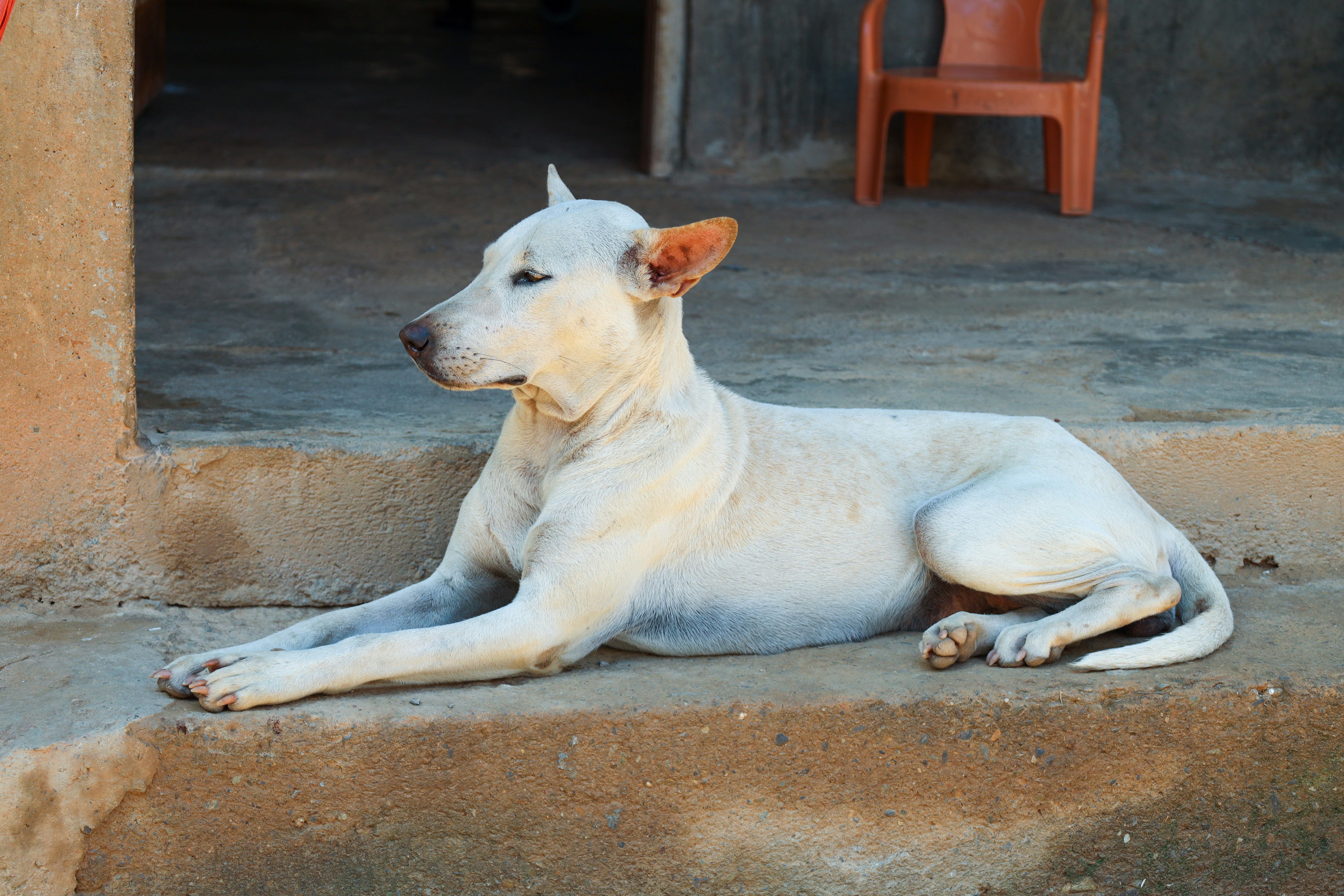 Photo by jaimegusmao