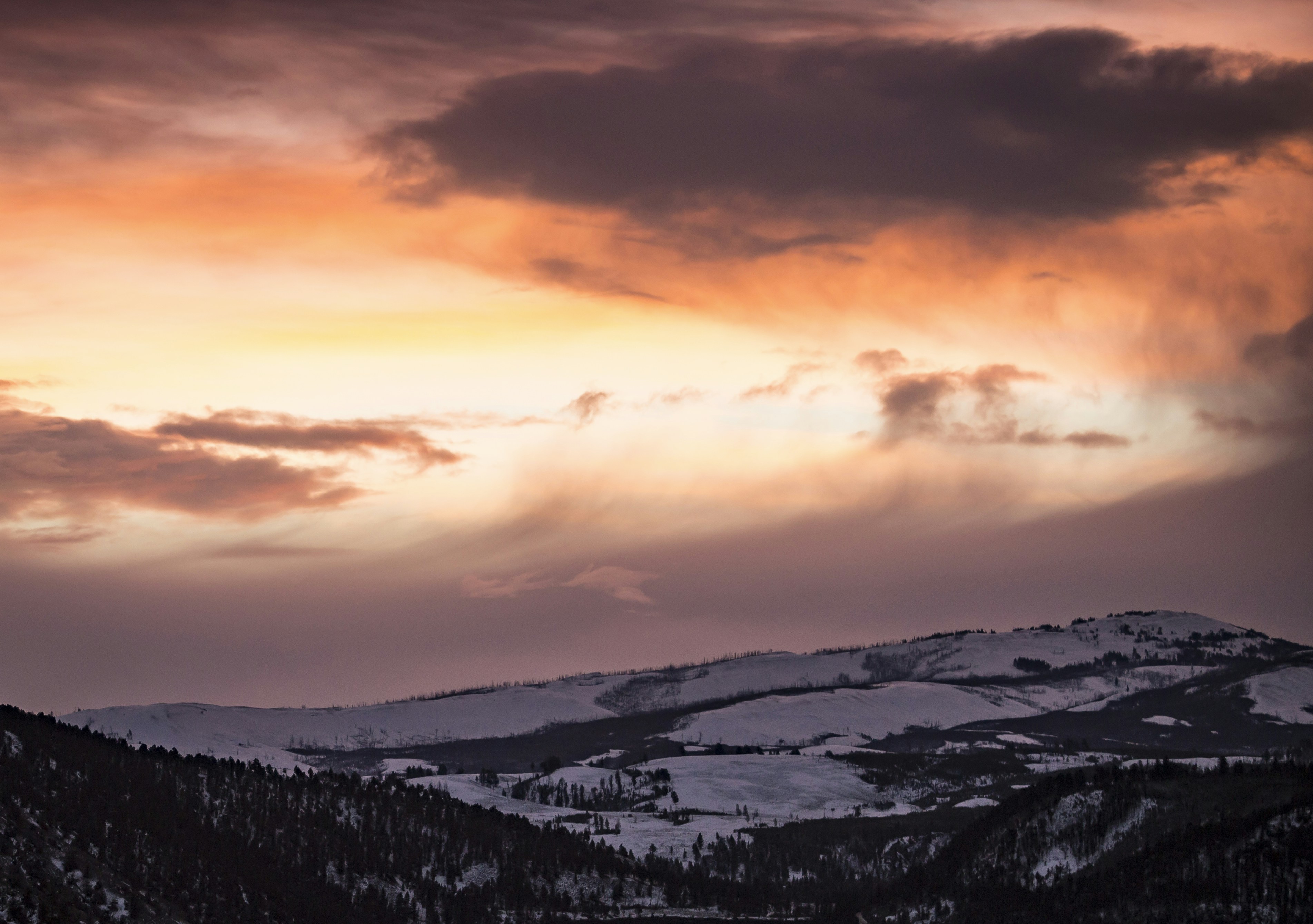 Photo by leo_visions_