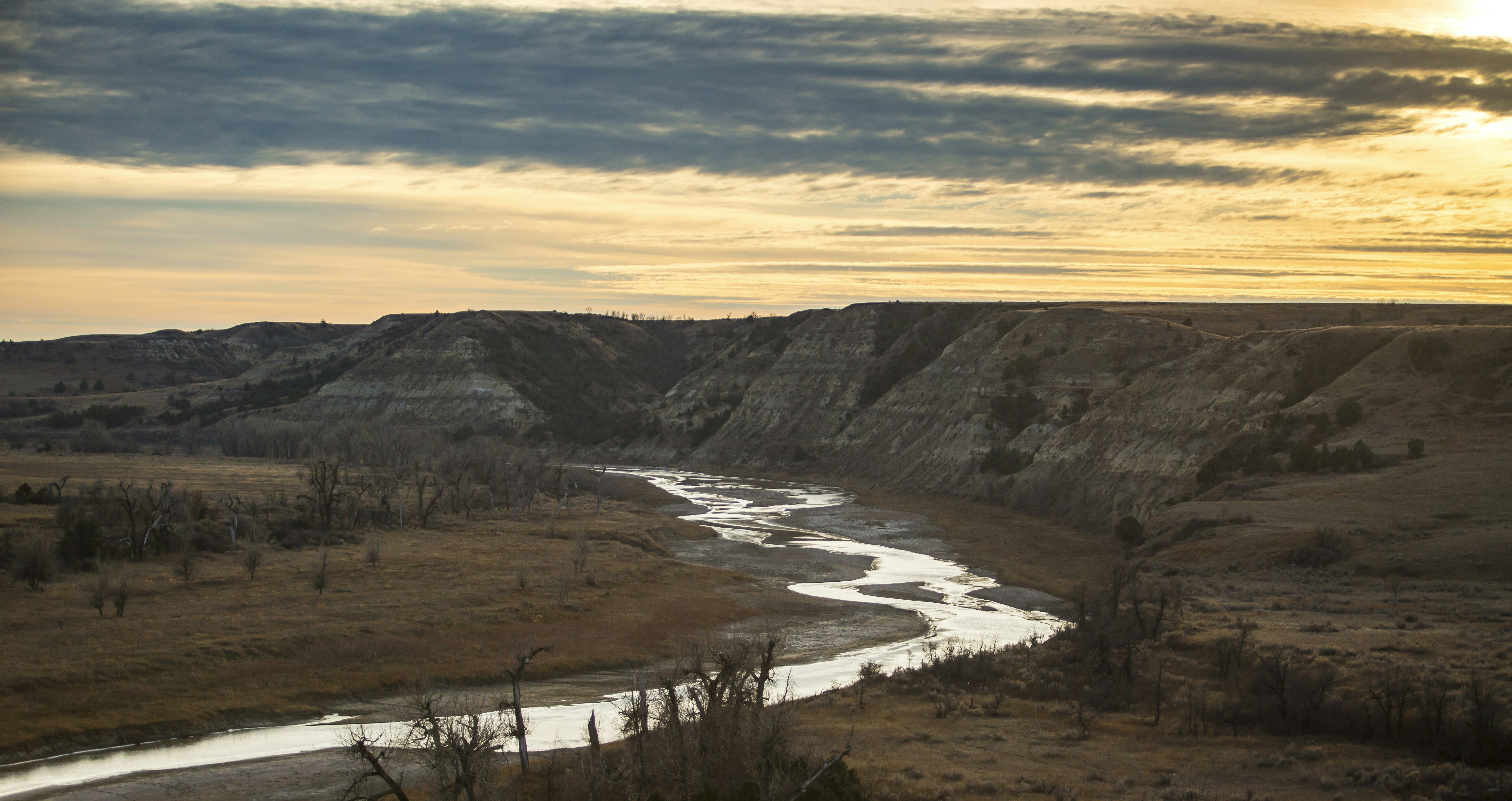 Photo by leo_visions_