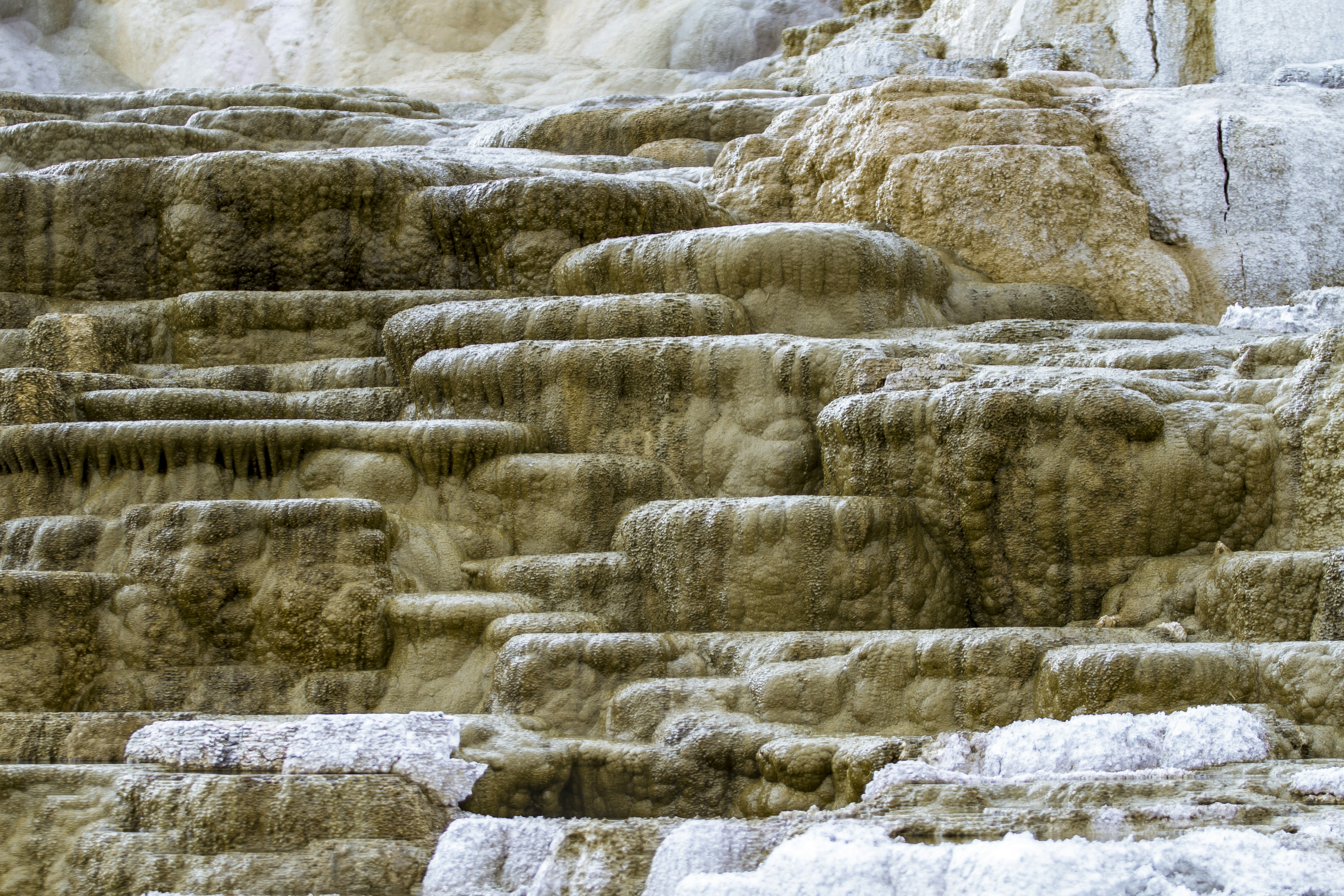 Photo by leo_visions_