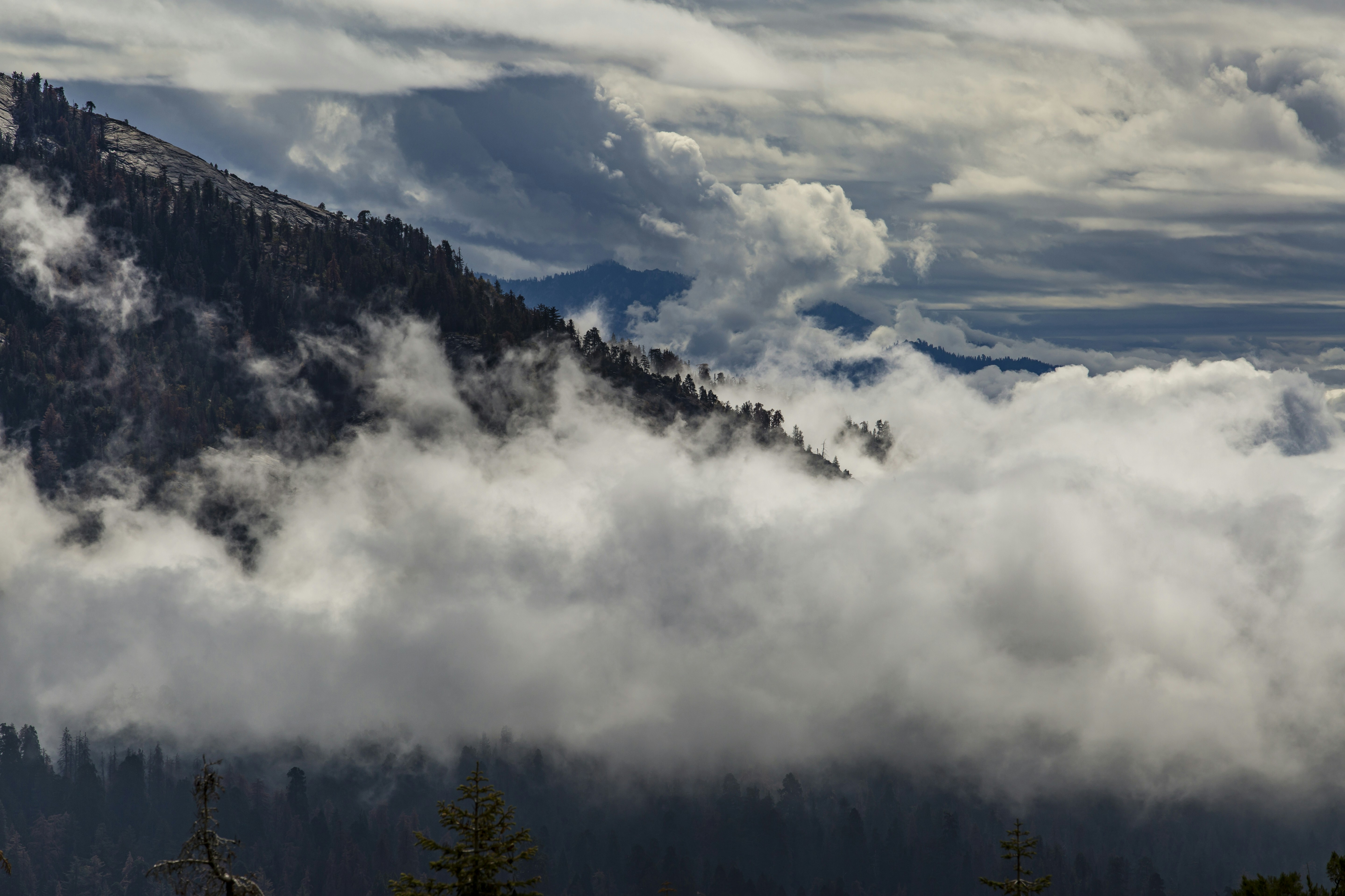 Photo by leo_visions_