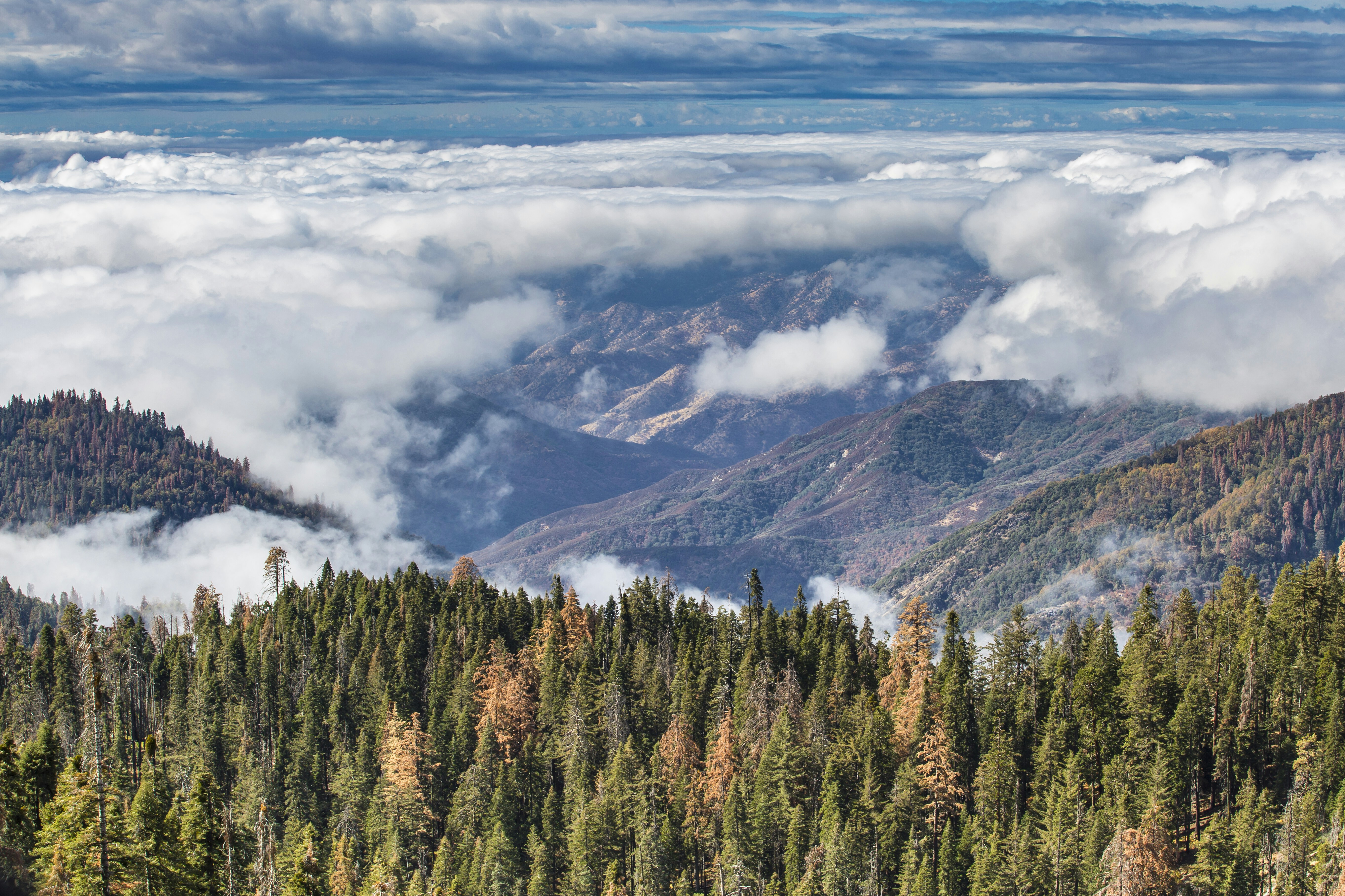 A view of a mountain range with trees and clouds