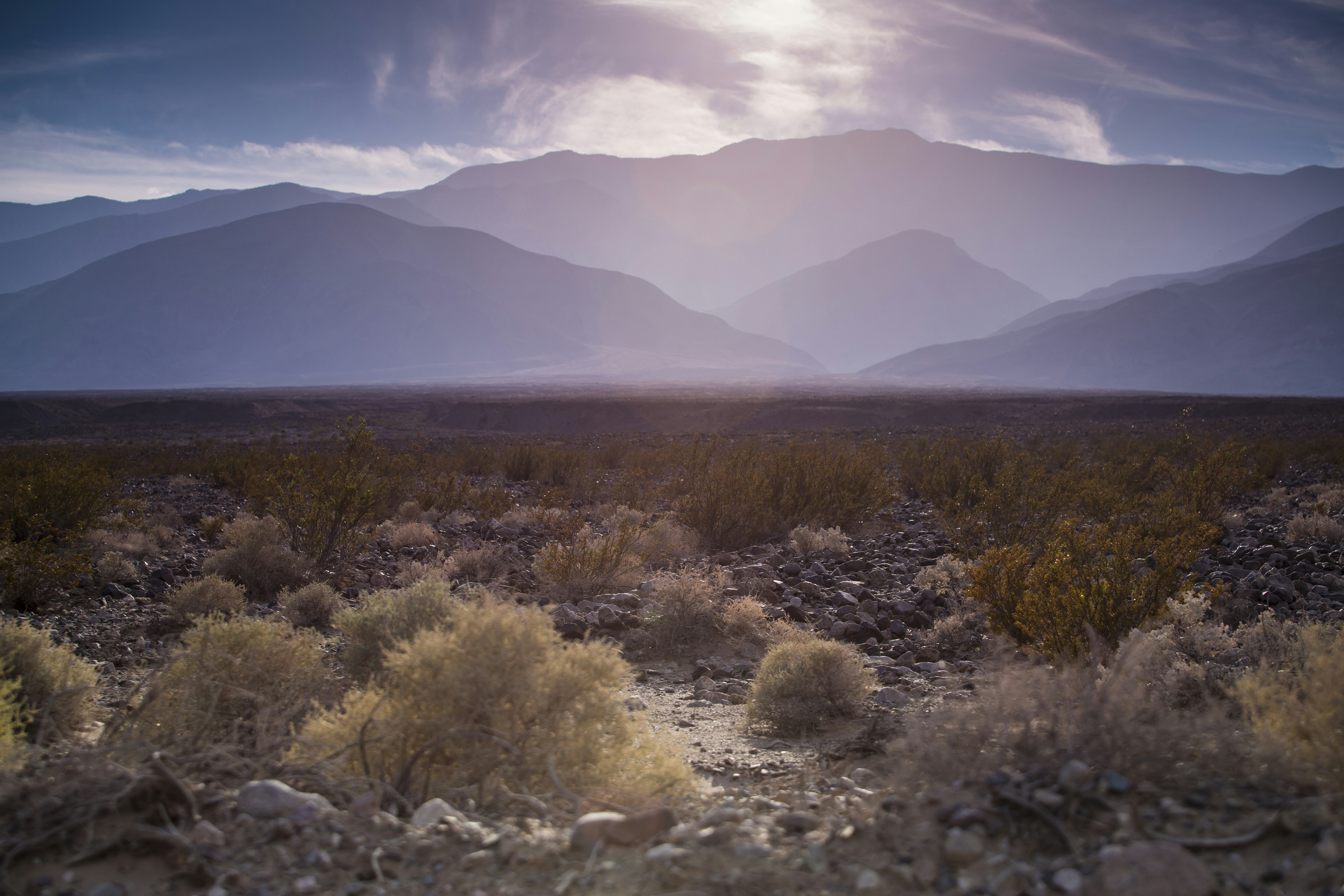 Photo by leo_visions_