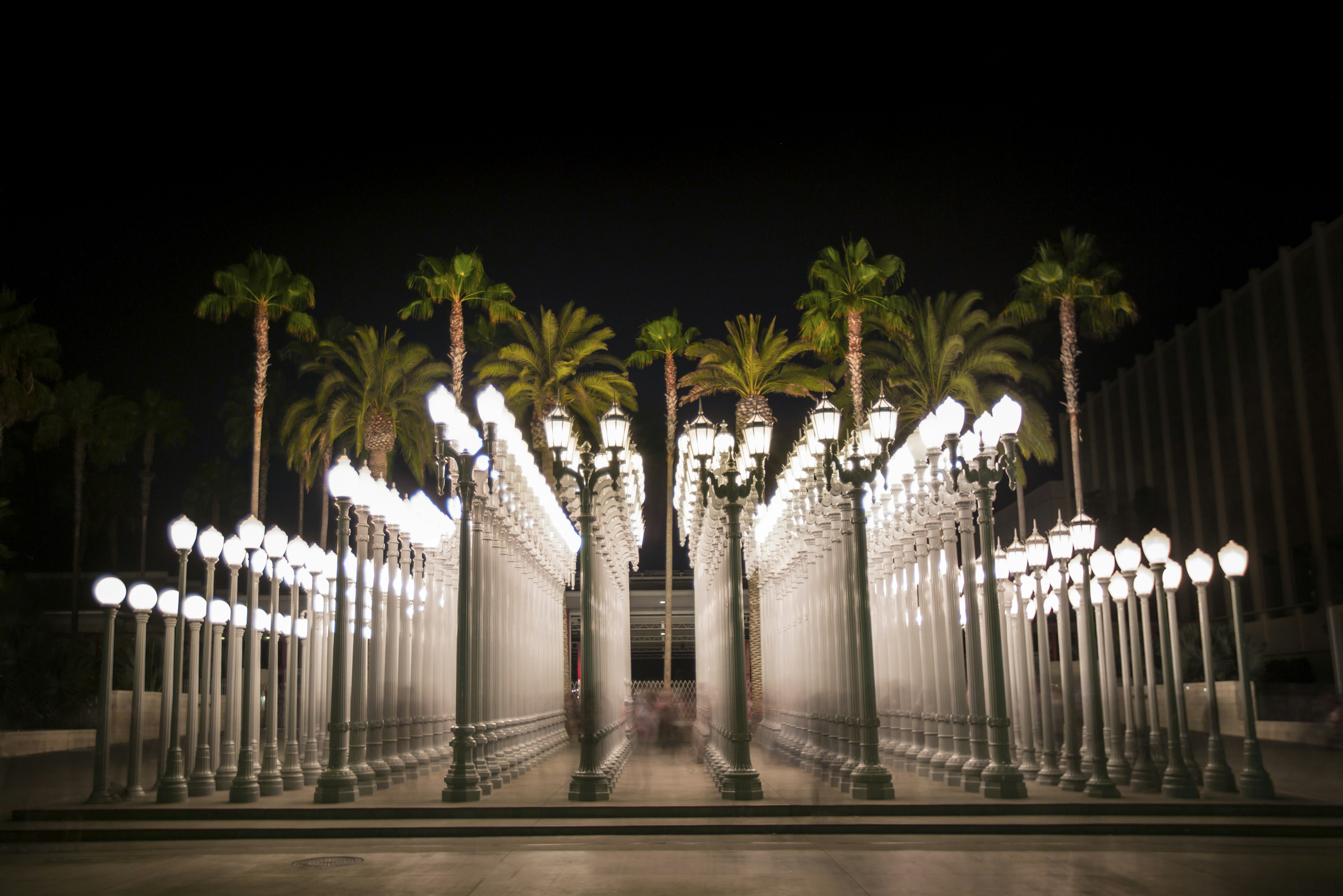 A group of palm trees in front of a building