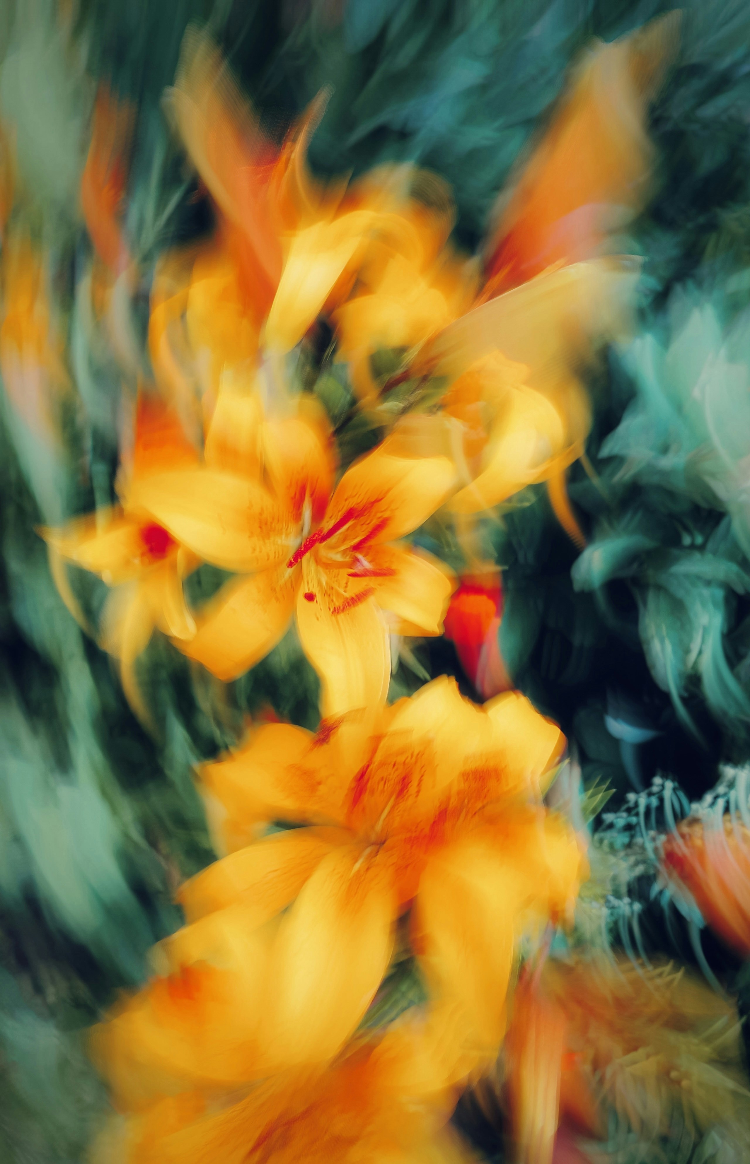 Photo by eugene_golovesov