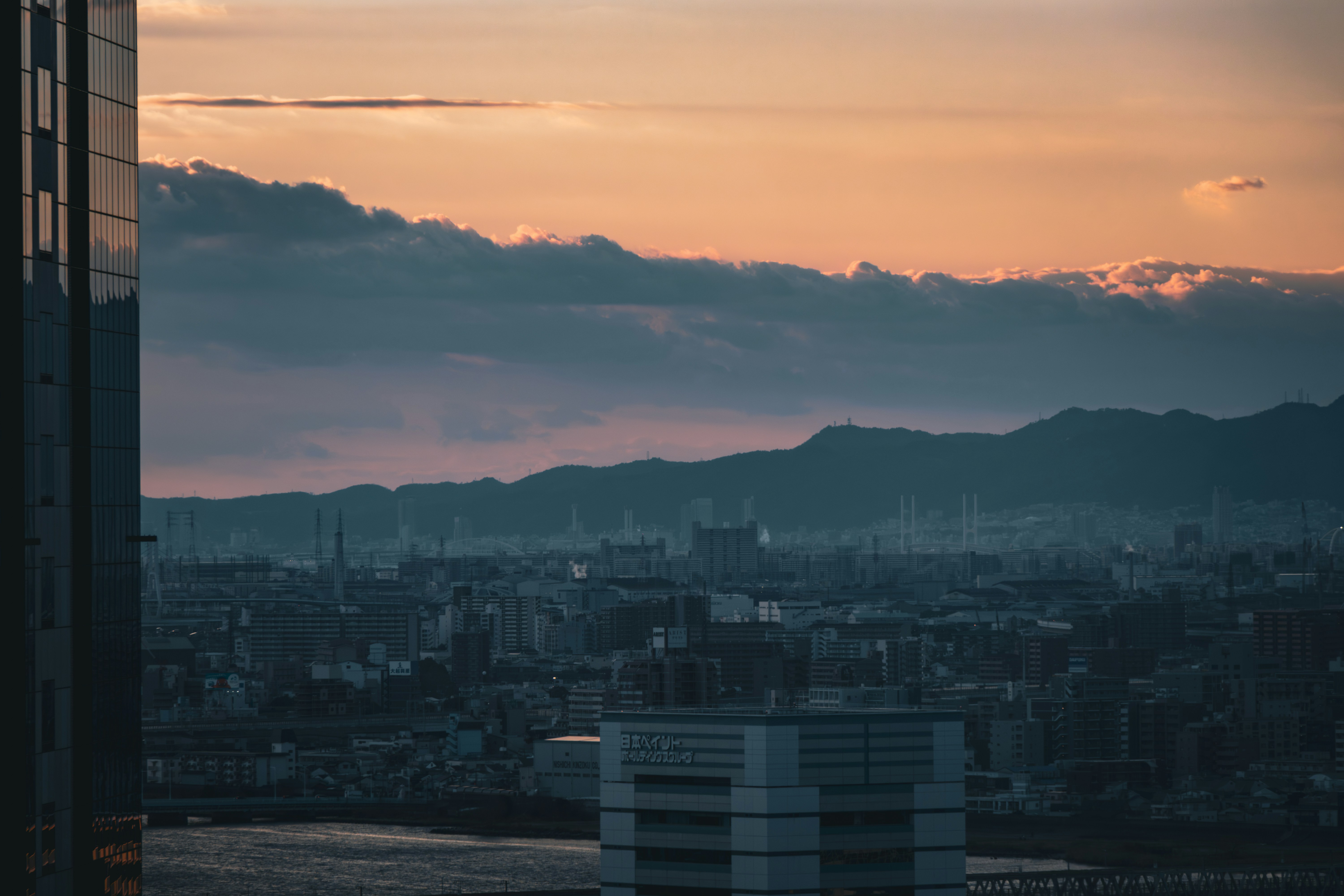 Photo by horseratbros