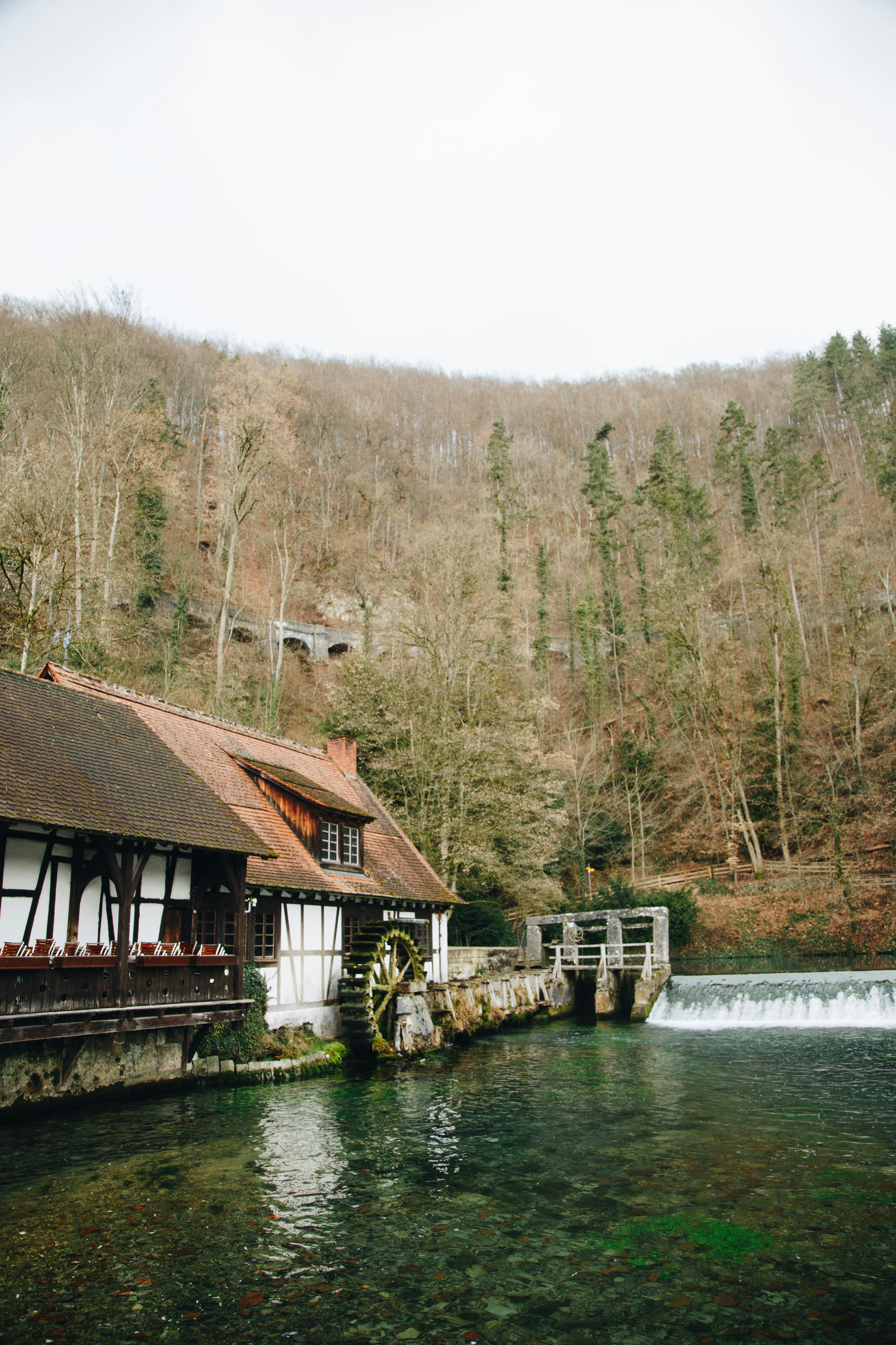 Ein Fluss, der durch einen üppig grünen Wald fließt