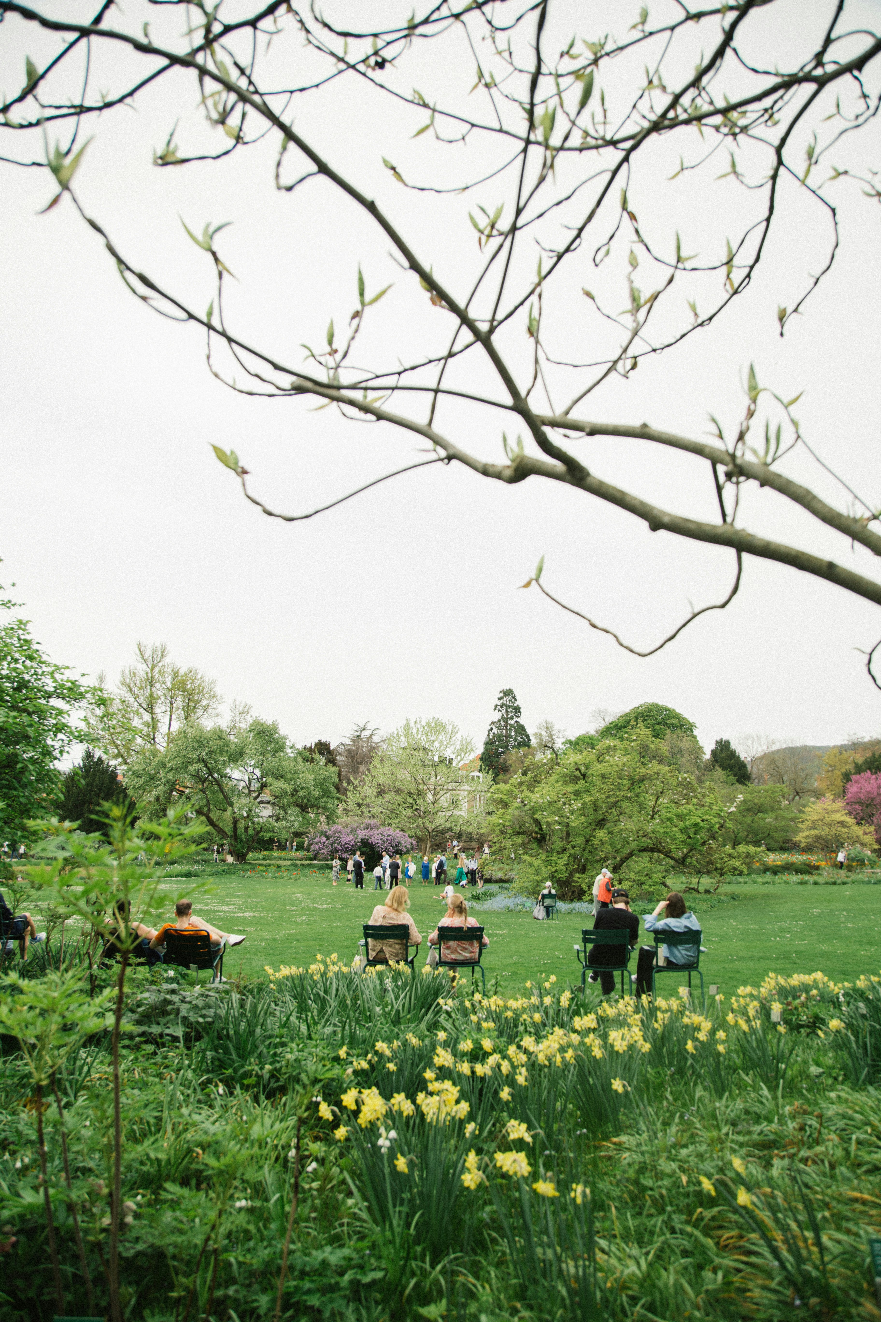 A group of people sitting on top of a lush green field