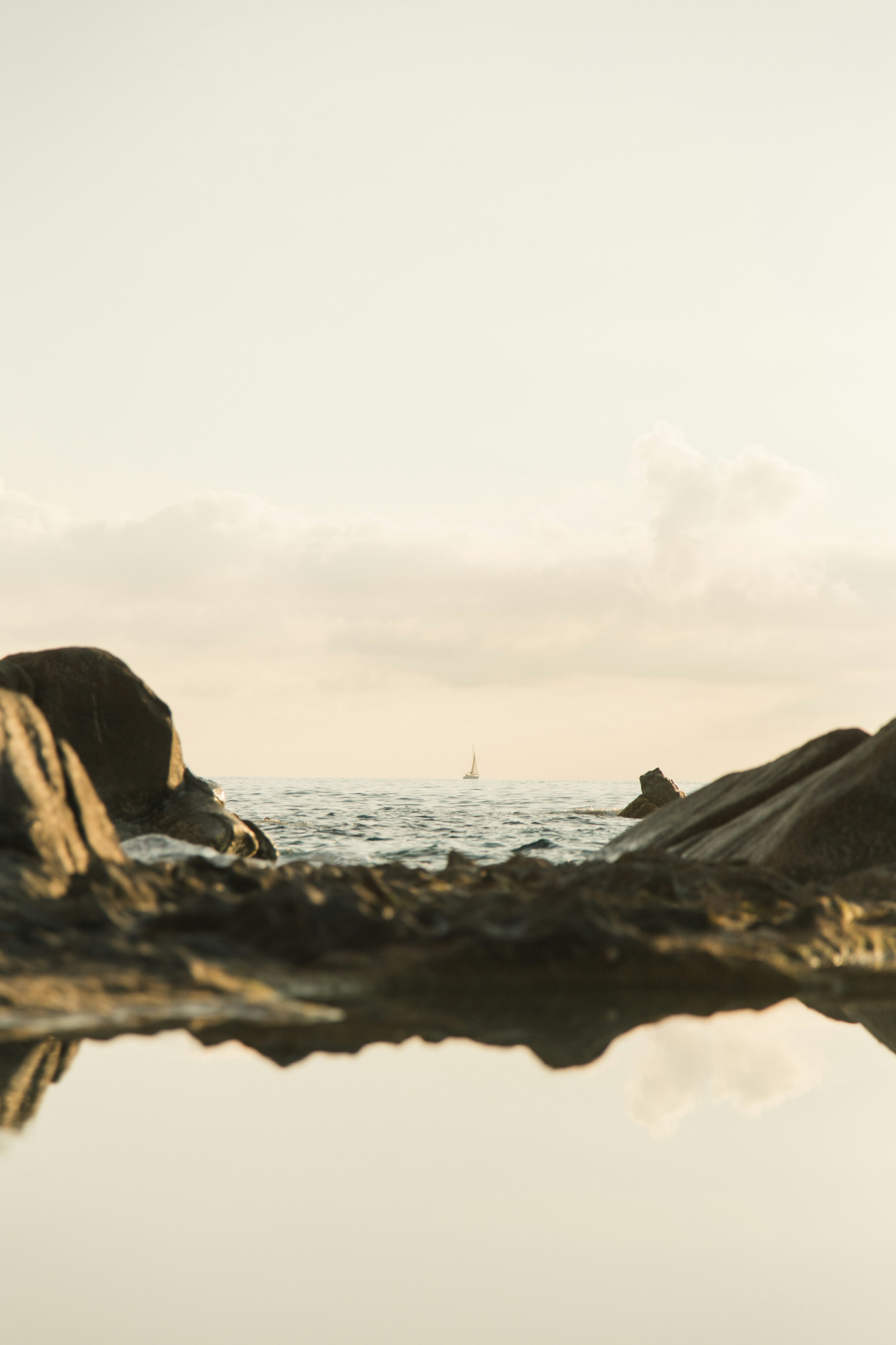 Ein paar Elefanten, die auf einem Gewässer stehen