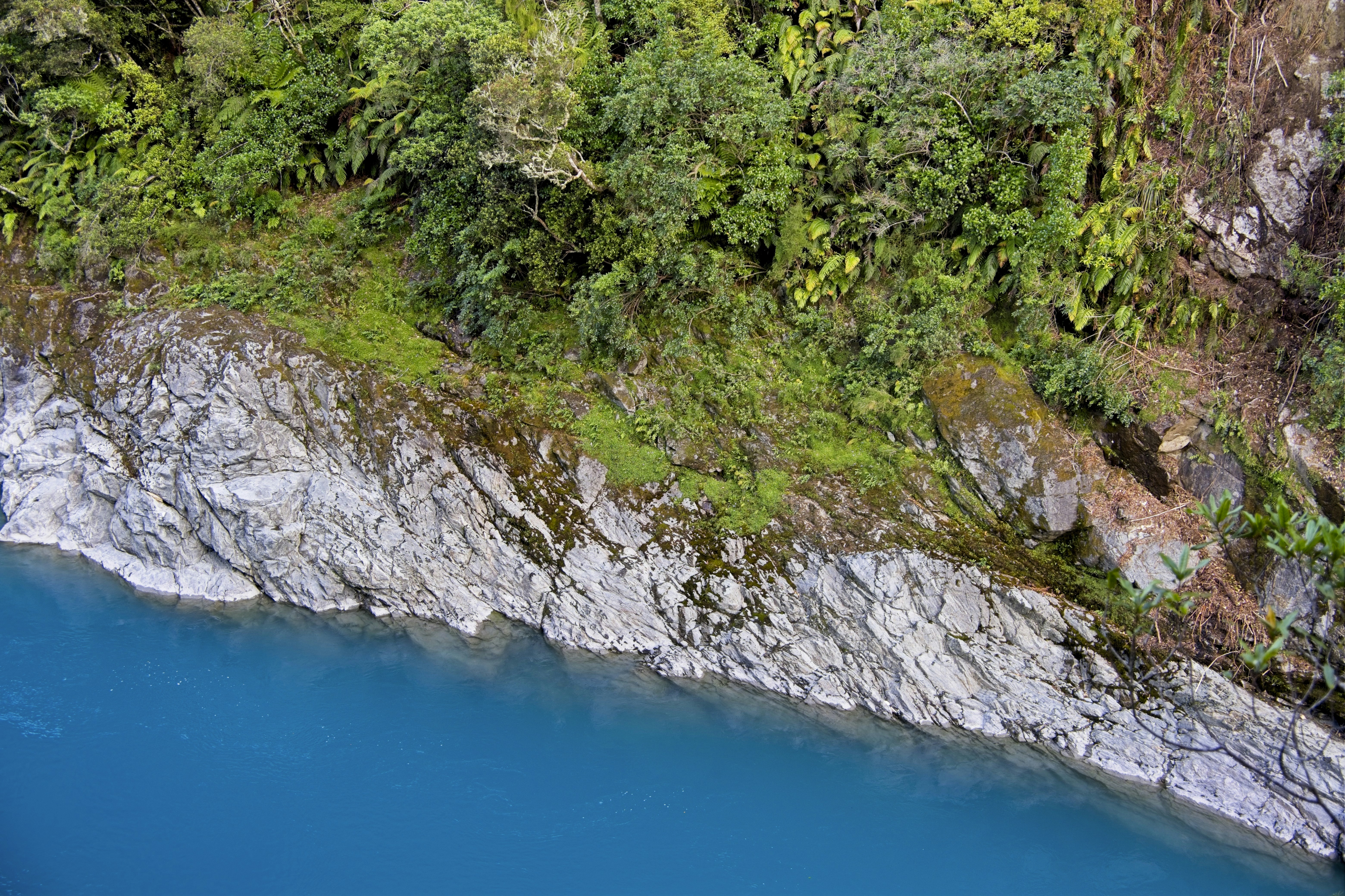 A body of water surrounded by trees and rocks
