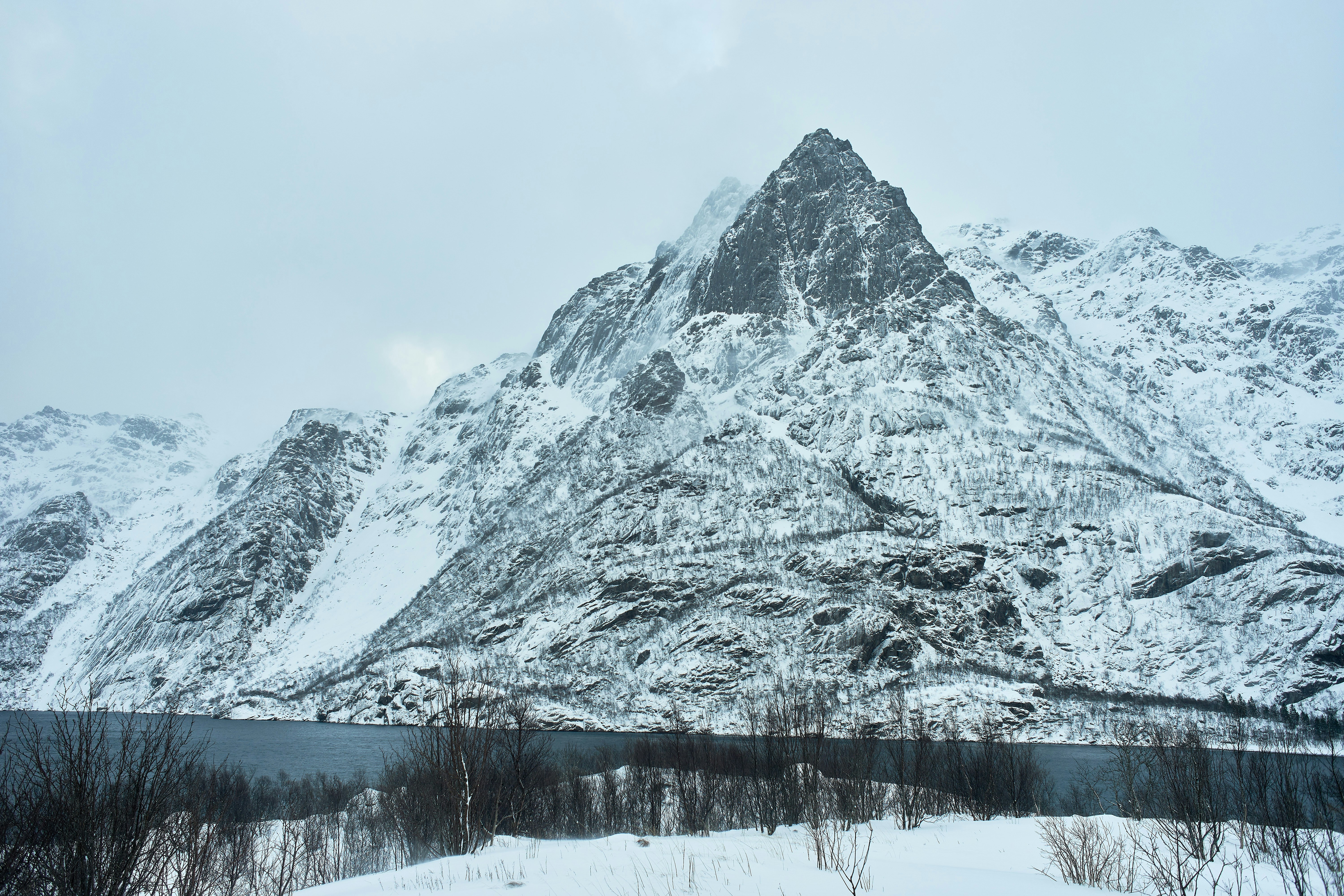 Photo by wolfgang_hasselmann