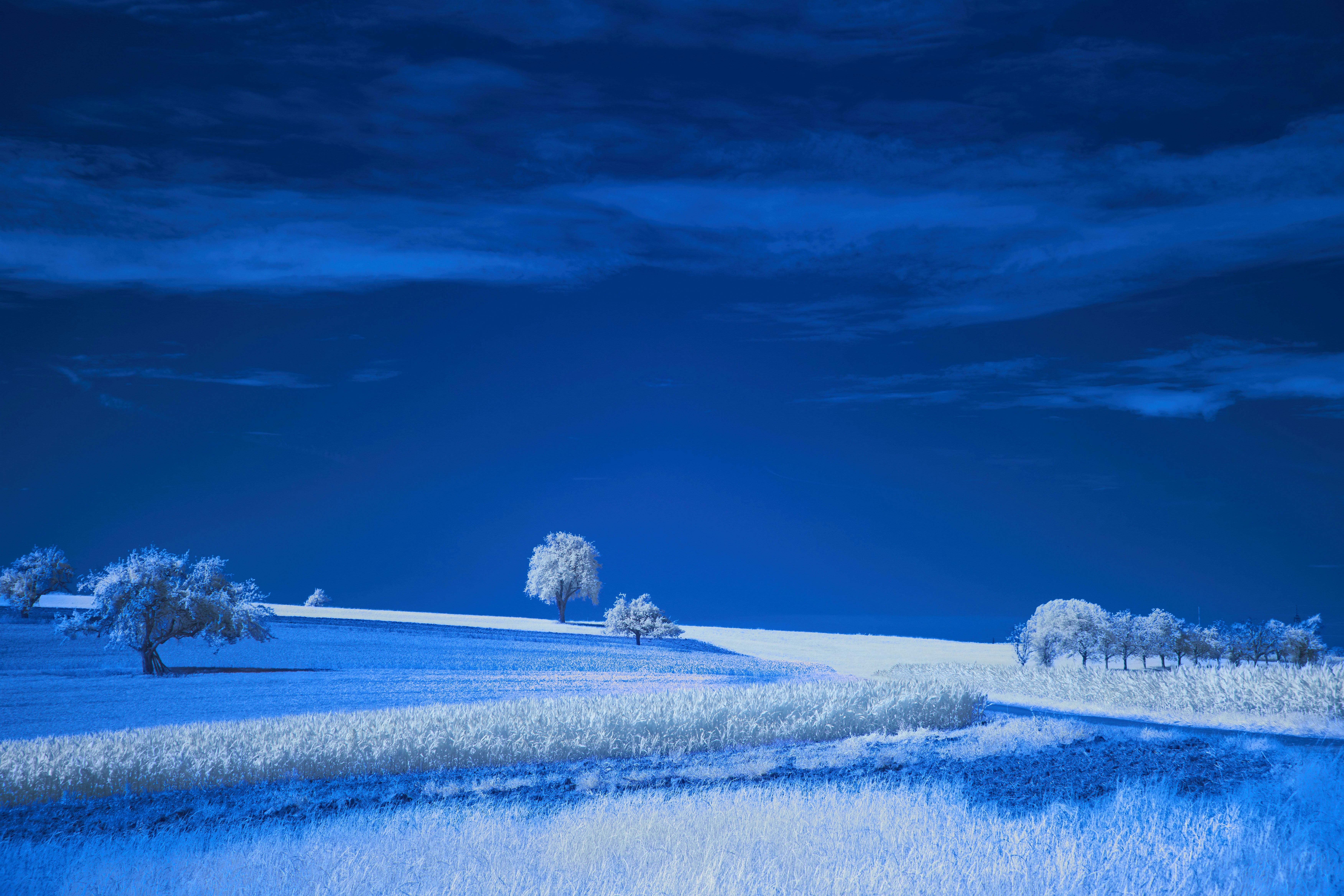 夜の雪景色を描いた絵画の写真 – Unsplashの雪の無料画像