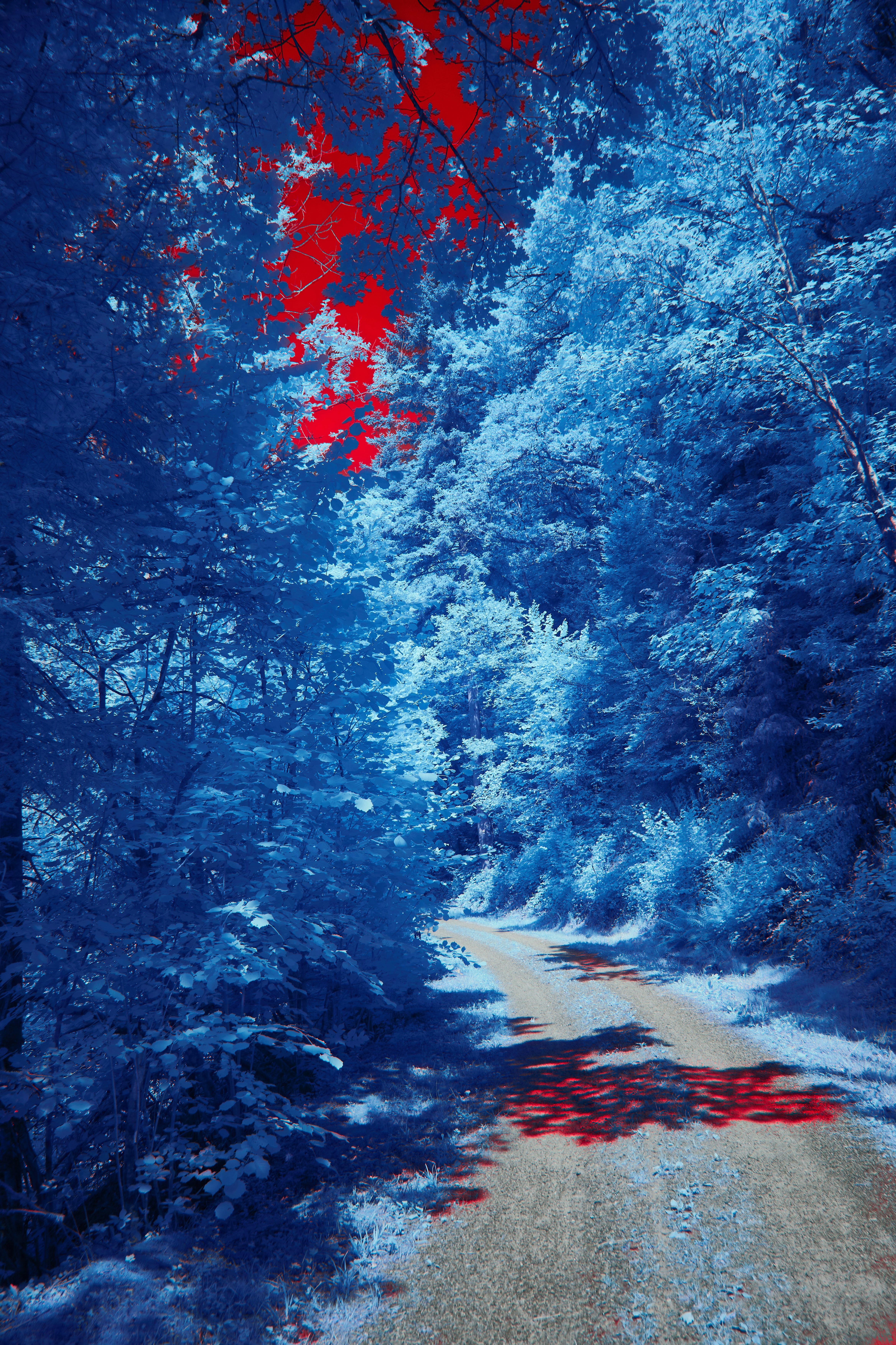 Photo by wolfgang_hasselmann