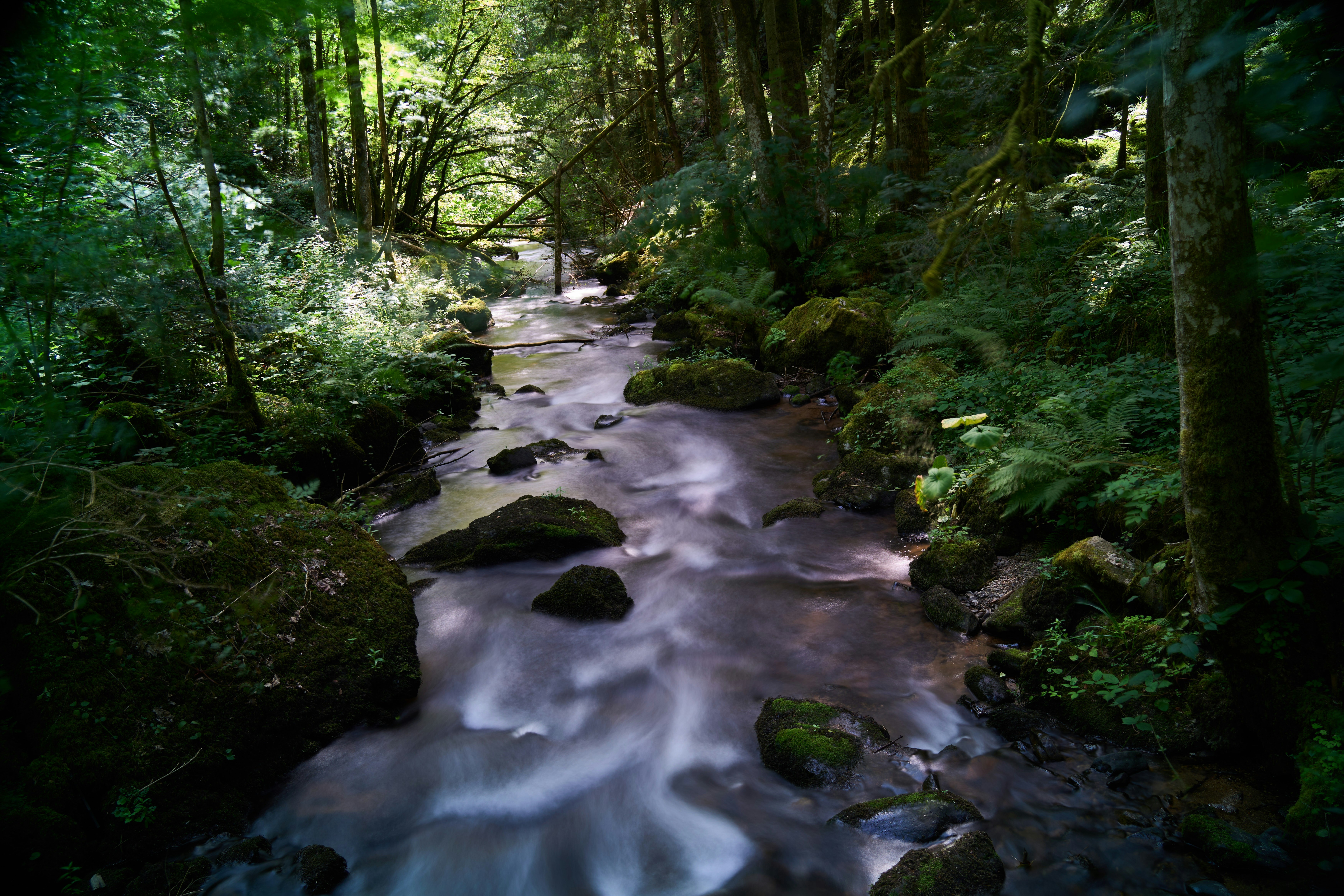 Photo by wolfgang_hasselmann