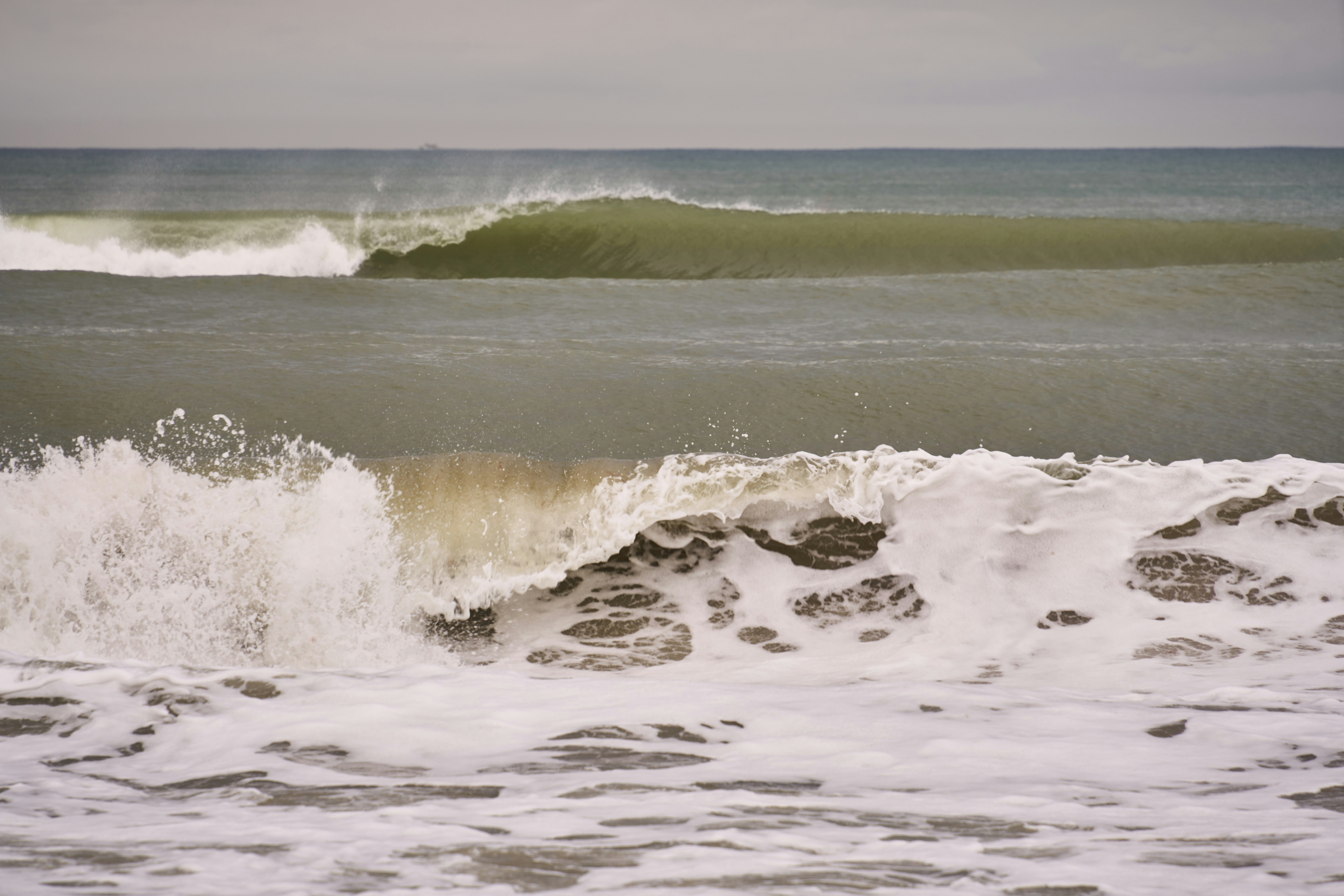 Photo by wolfgang_hasselmann