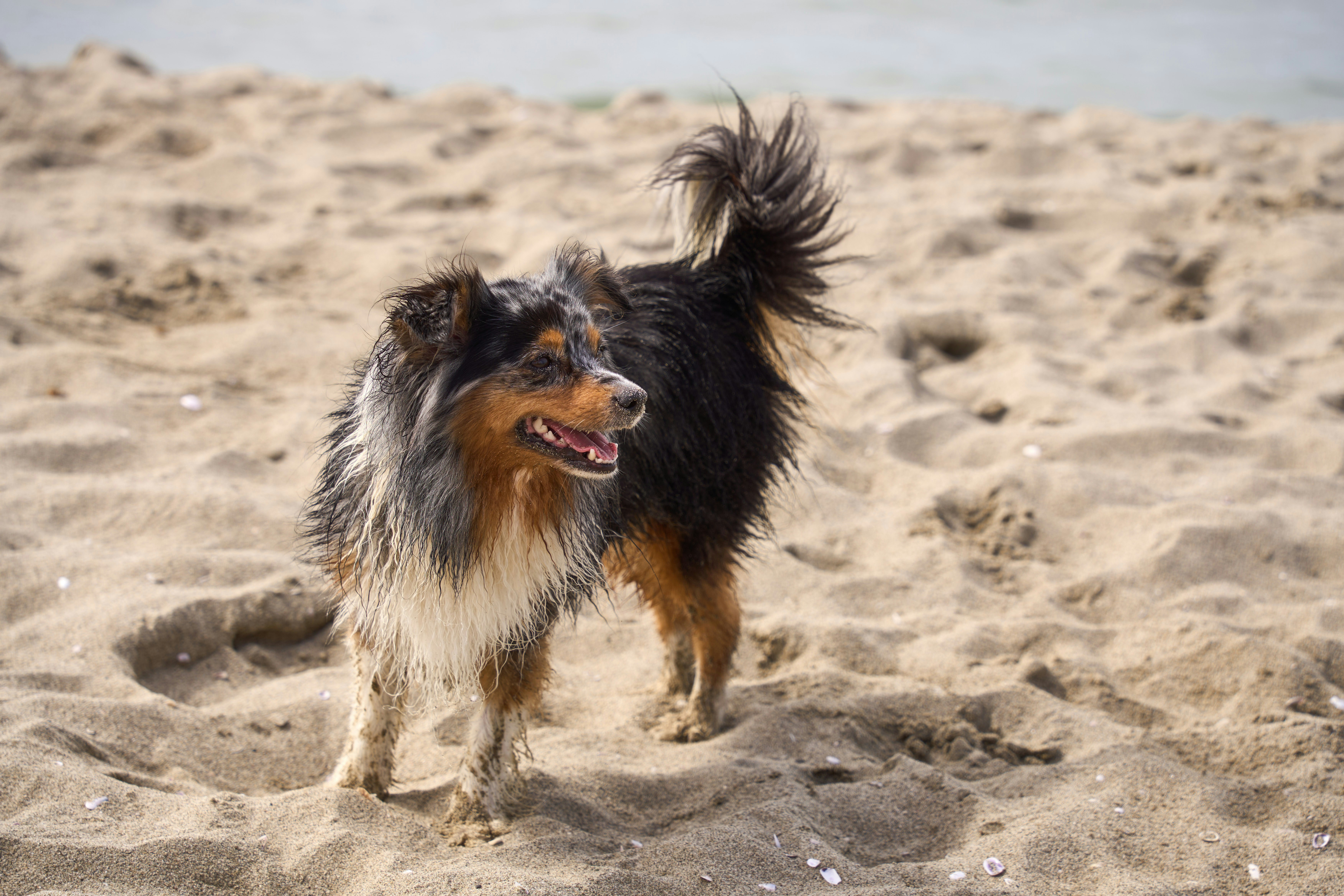 Photo by wolfgang_hasselmann