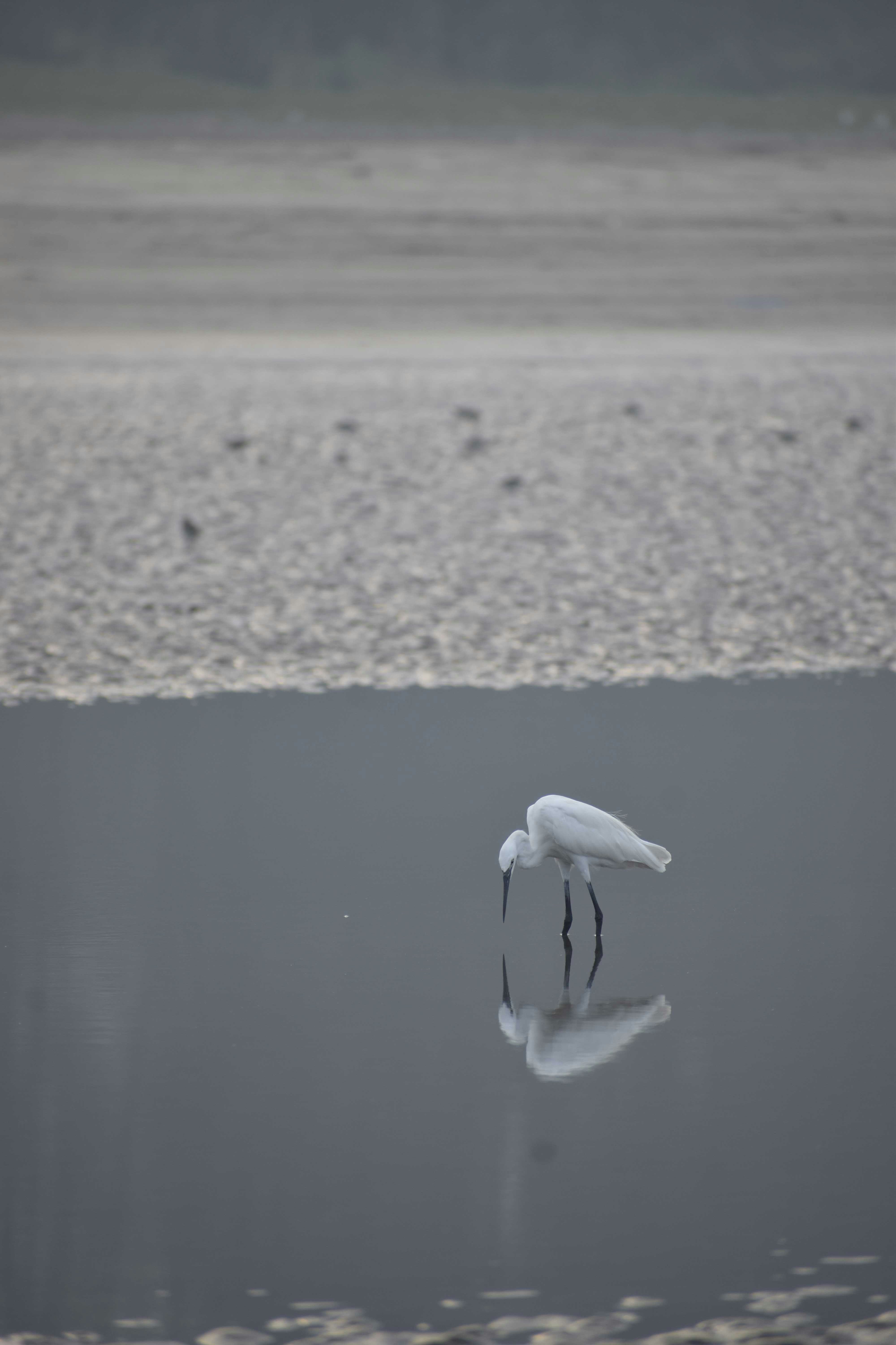 Photo by iamparagharawade