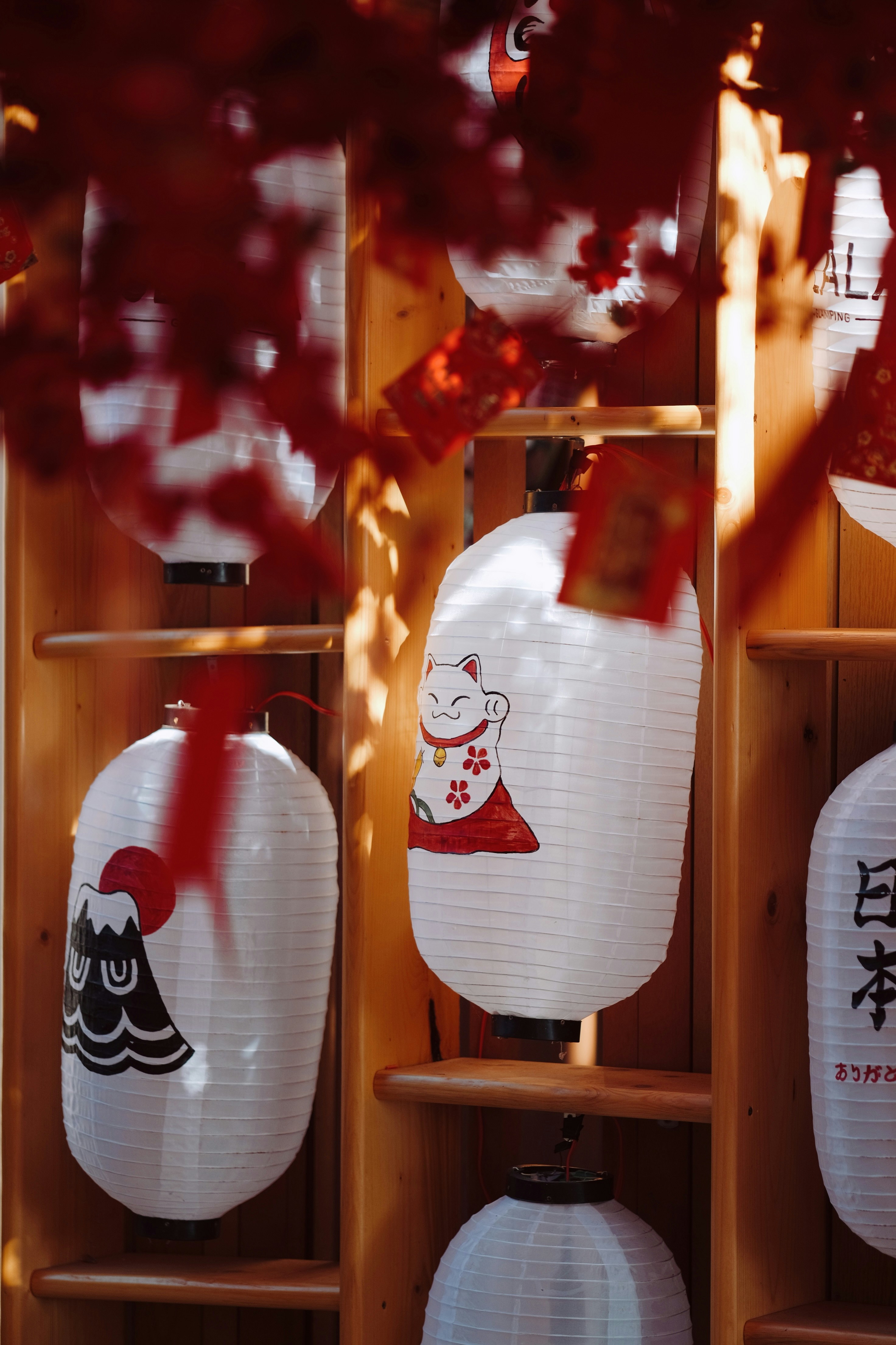 Photo by nguyentrungnguyen