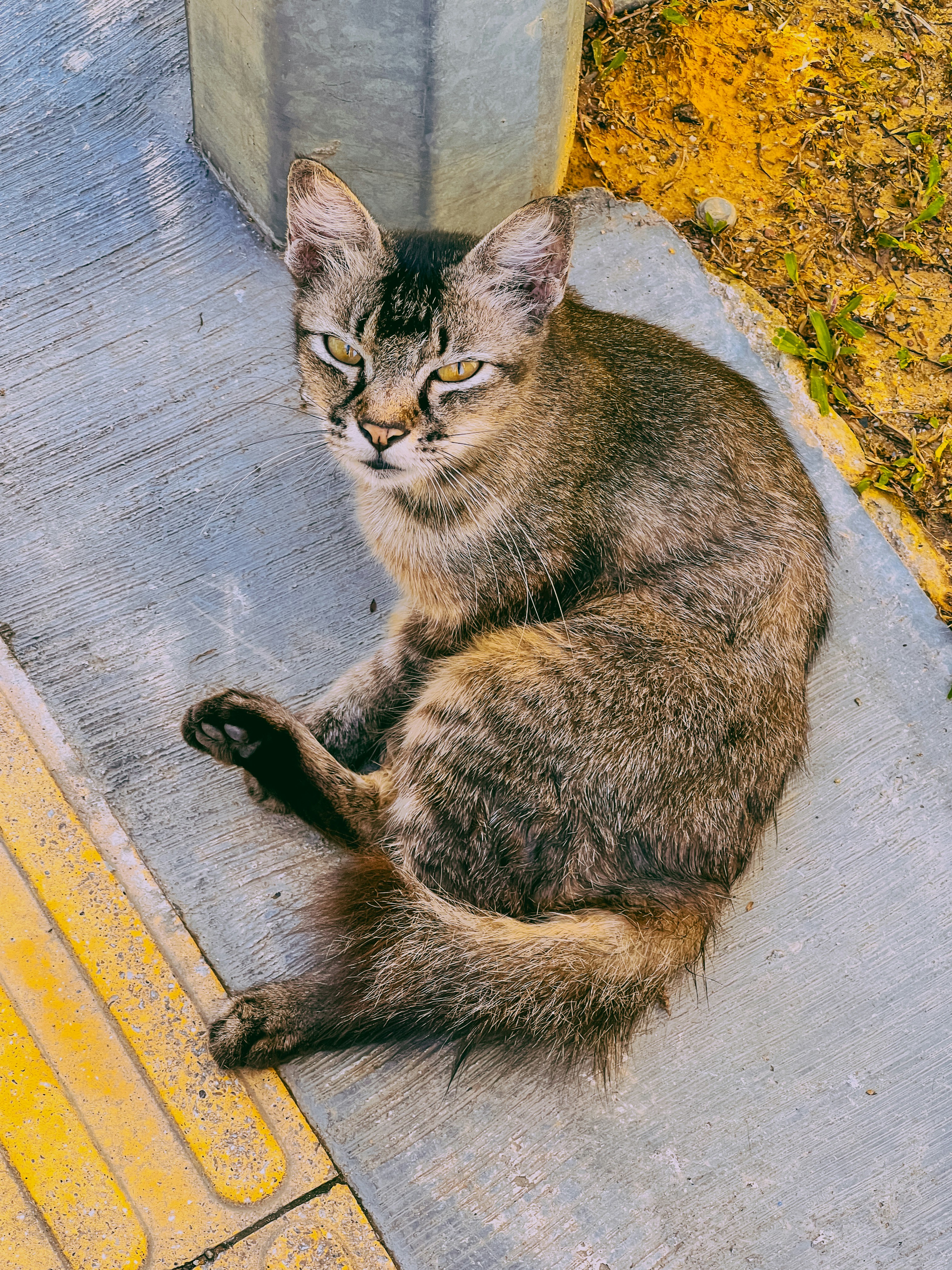 Photo by mynameisiknow