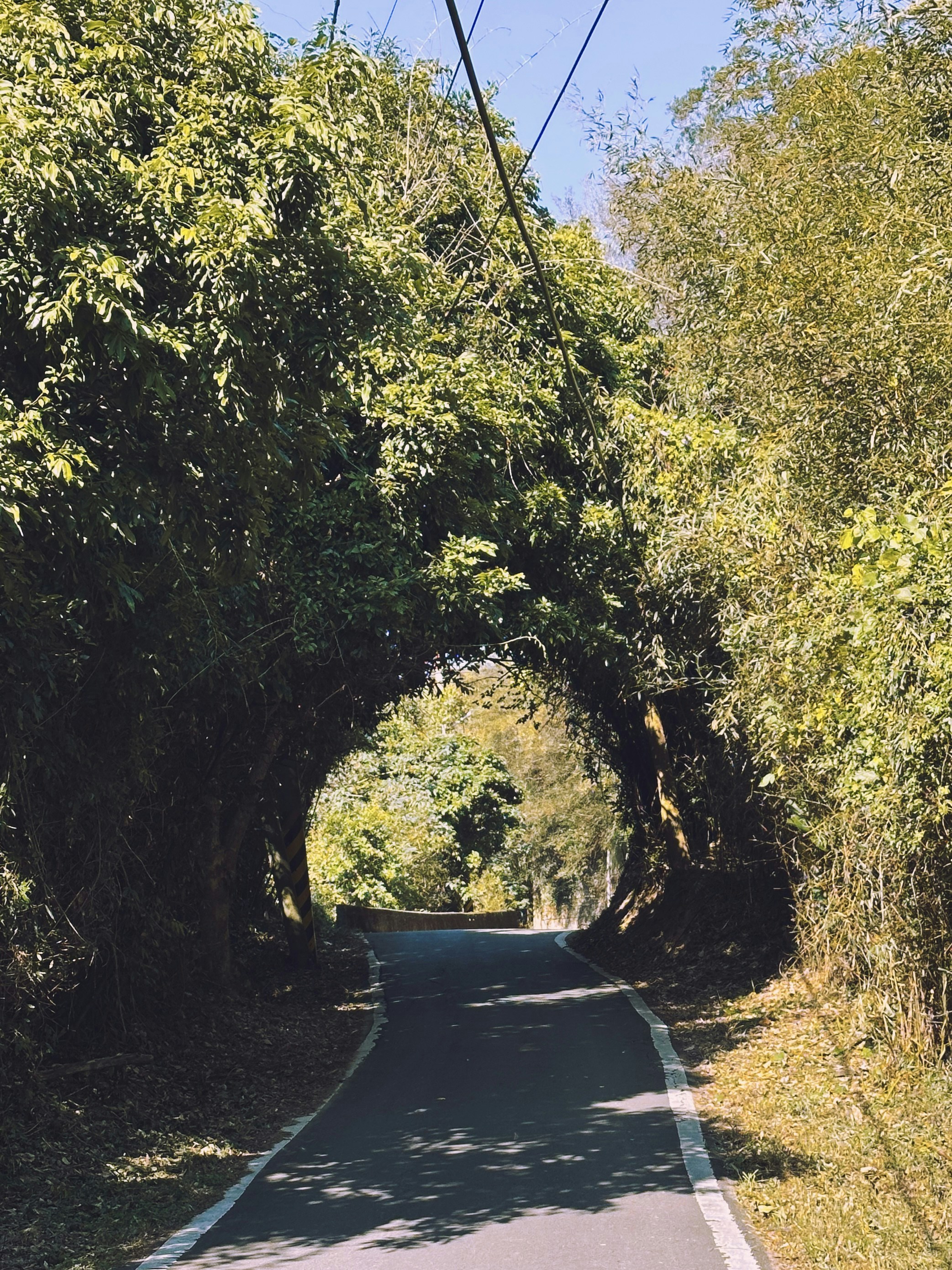 Photo by yungchi1104