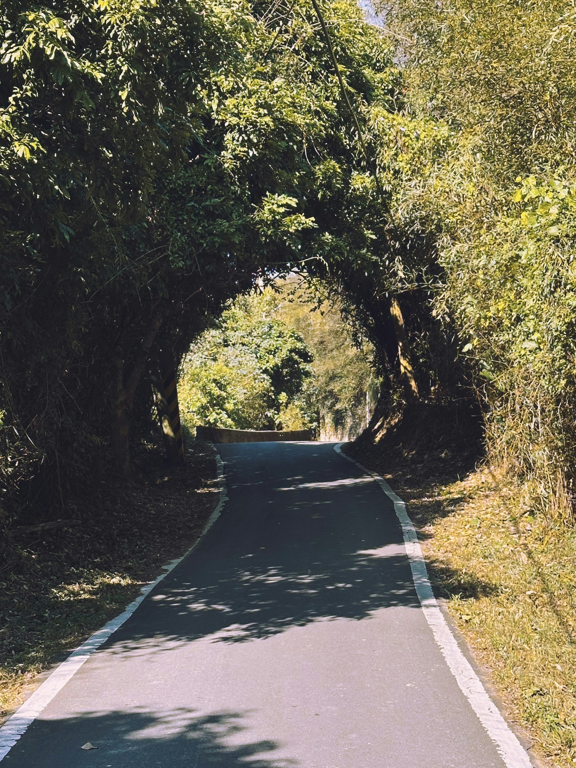 Tainan – Final Summary