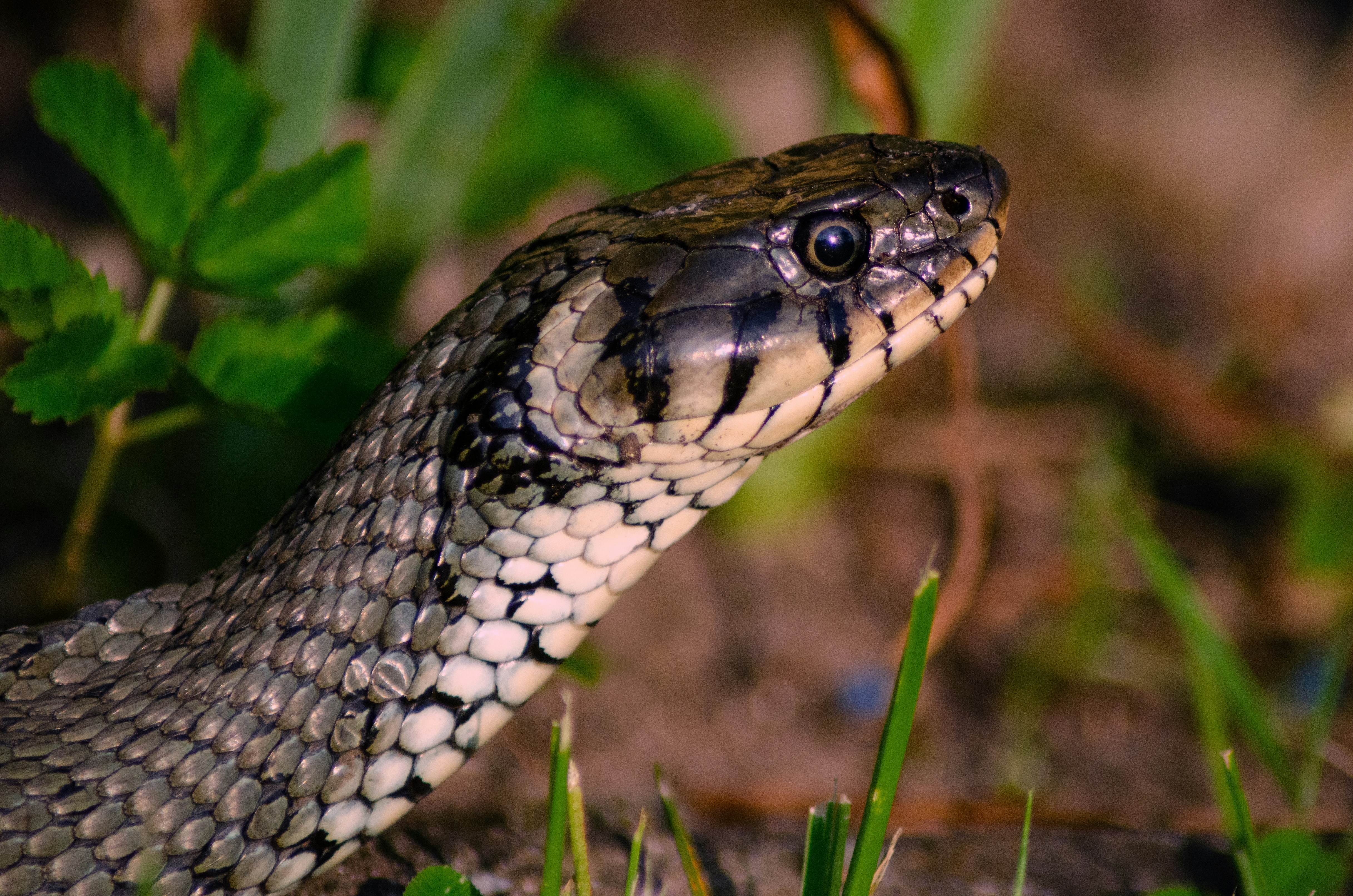 Photo by michellewirtz