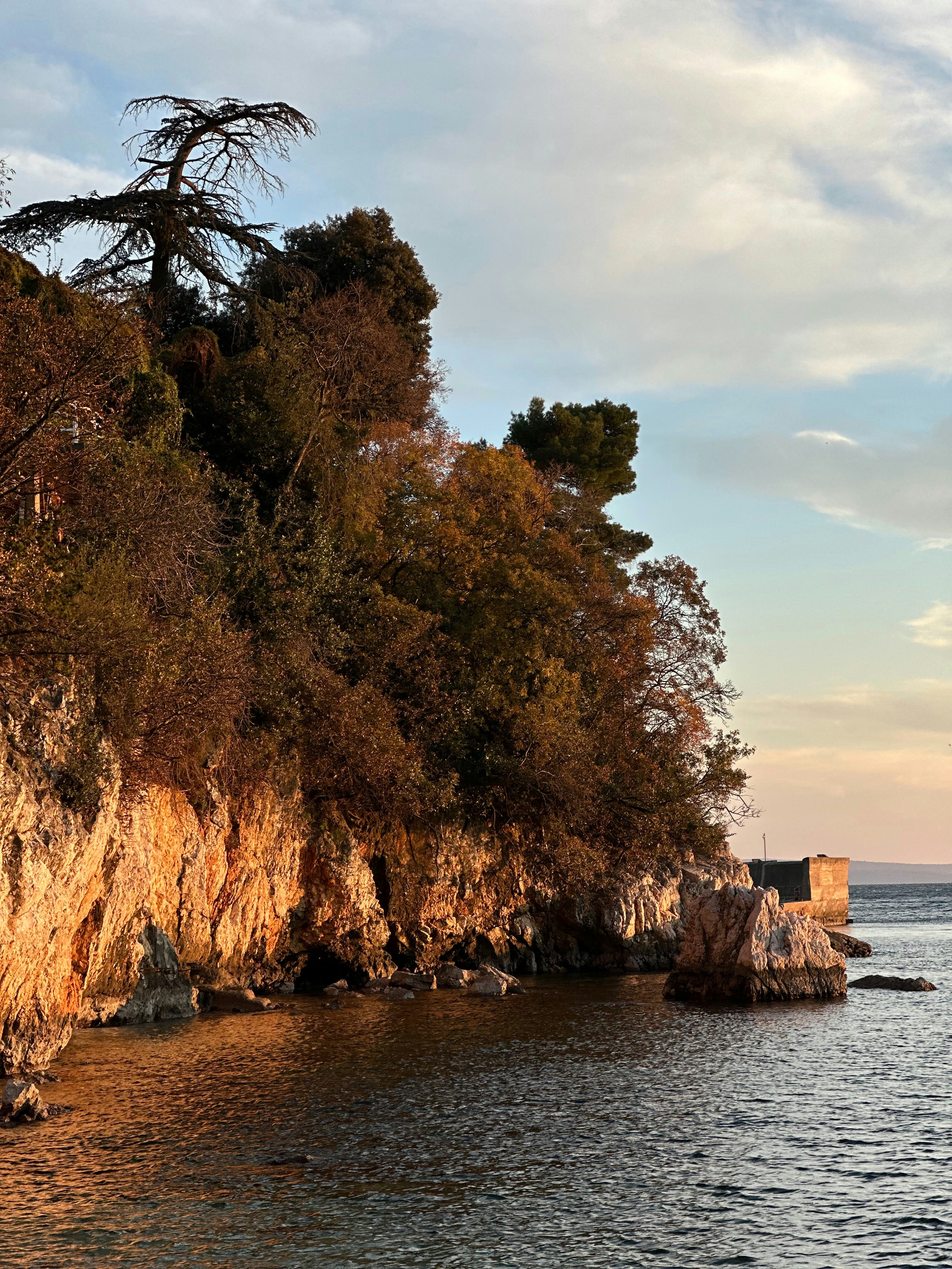 Ein Gewässer, umgeben von Bäumen und Felsen